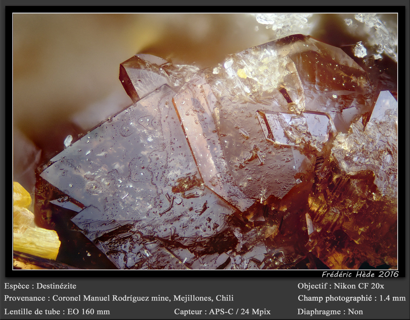 Destinezite
fov 1.4 mm
(Autor: ploum)