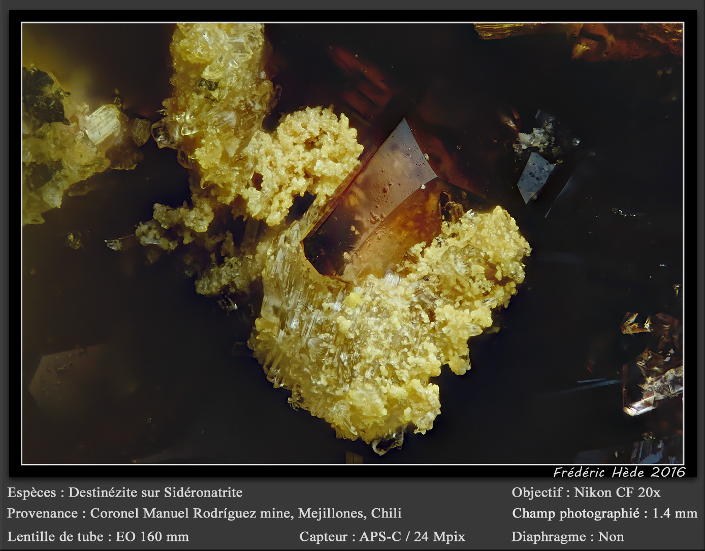 Destinezite on Sideronatrite
fov 1.4 mm
(Autor: ploum)
