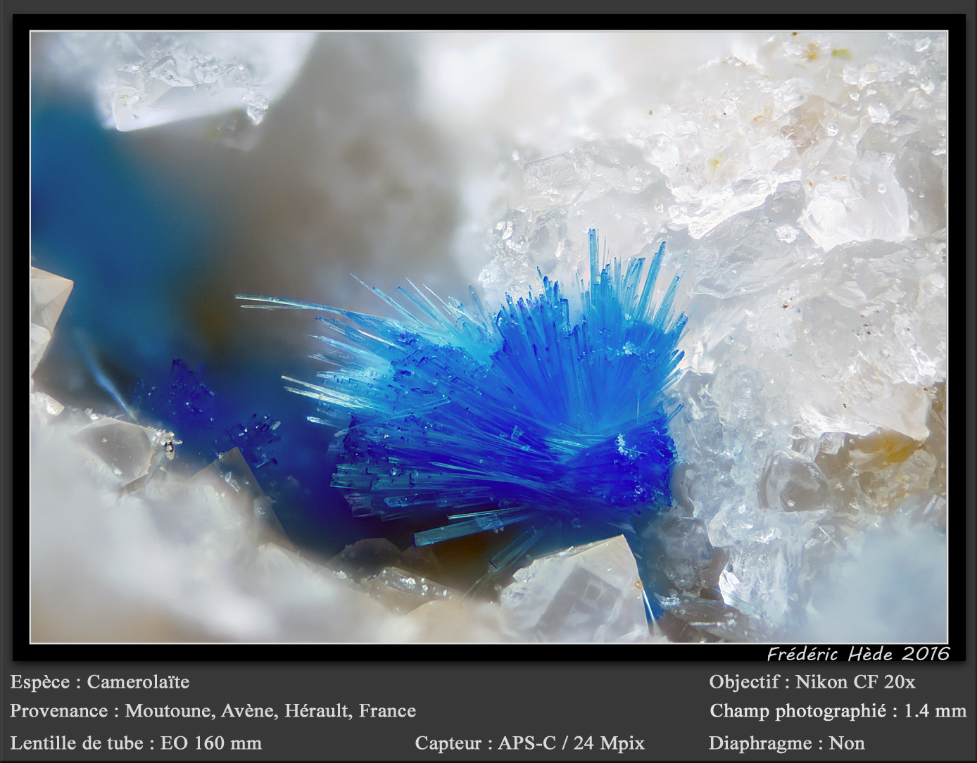 Camérolaite
fov 1.4 mm
(Autor: ploum)
