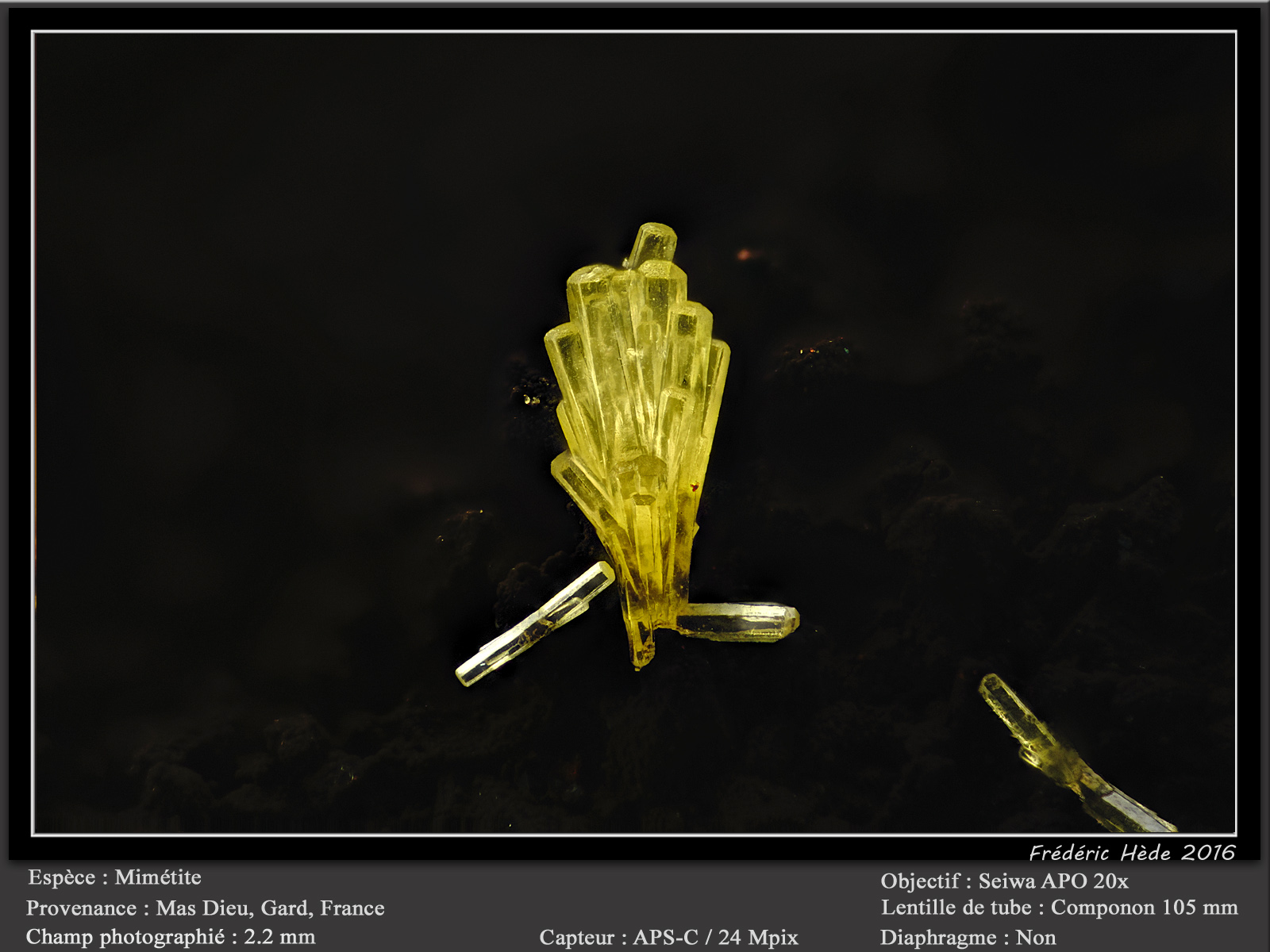 Mimetite
fov 2.2 mm
(Autor: ploum)