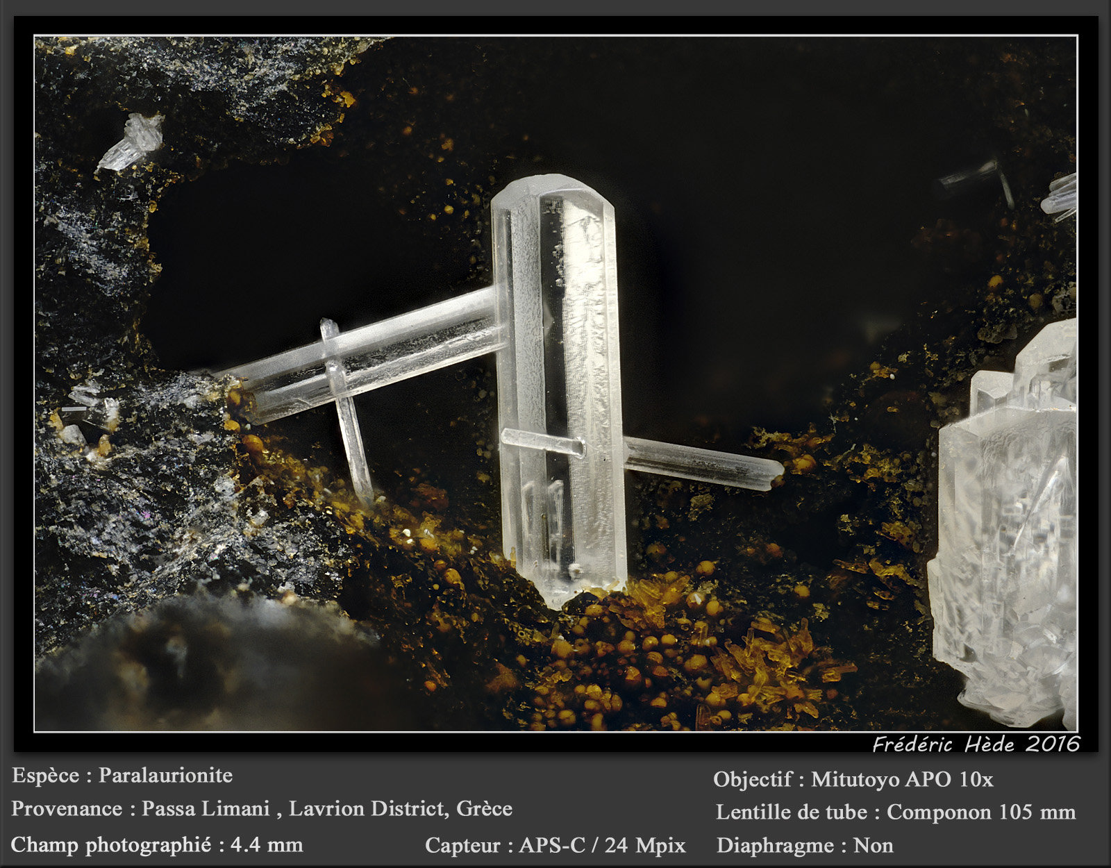 Paralaurionite
fov 4.4 mm
(Autor: ploum)