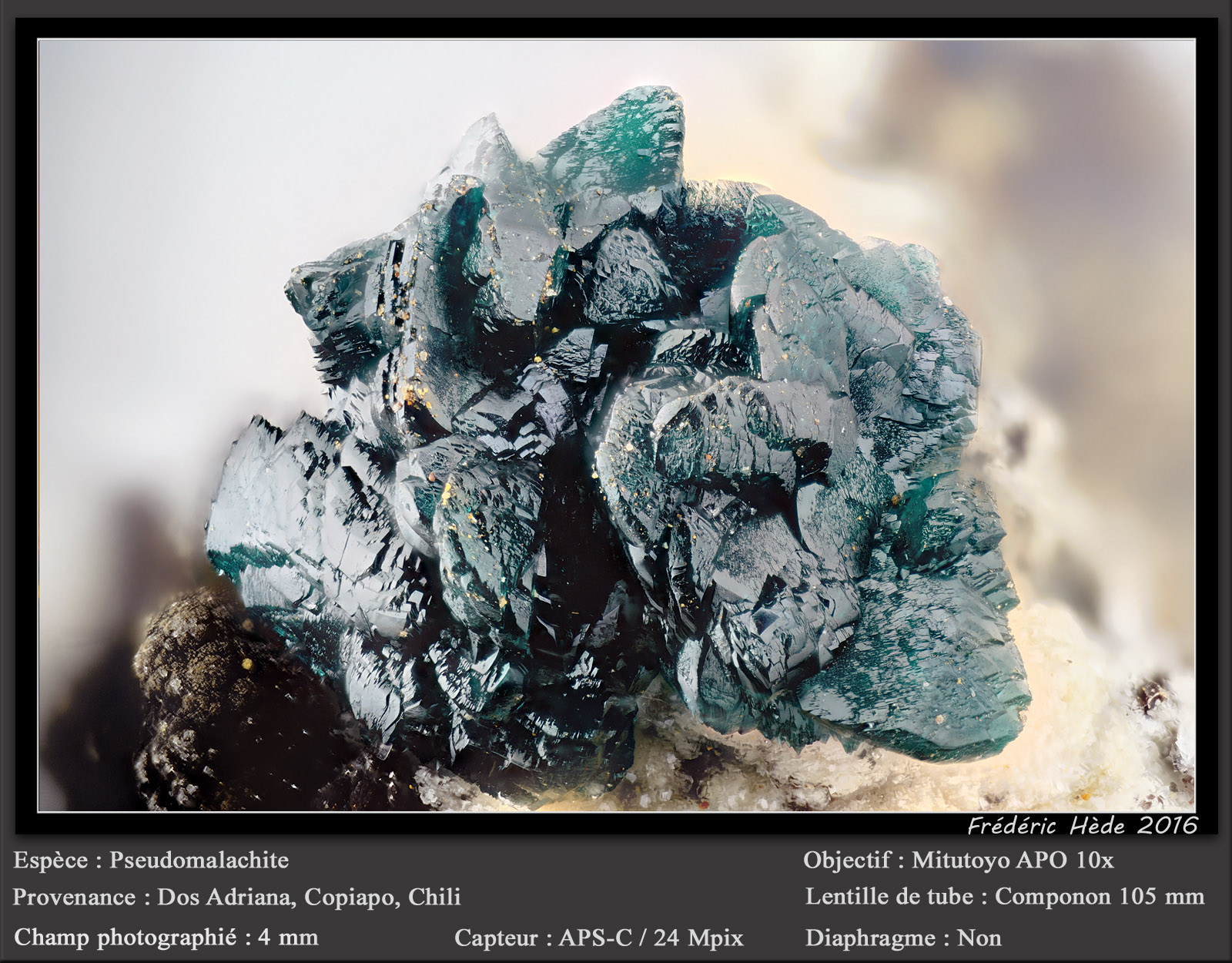 Pseudomalachite
fov 4 mm
(Autor: ploum)