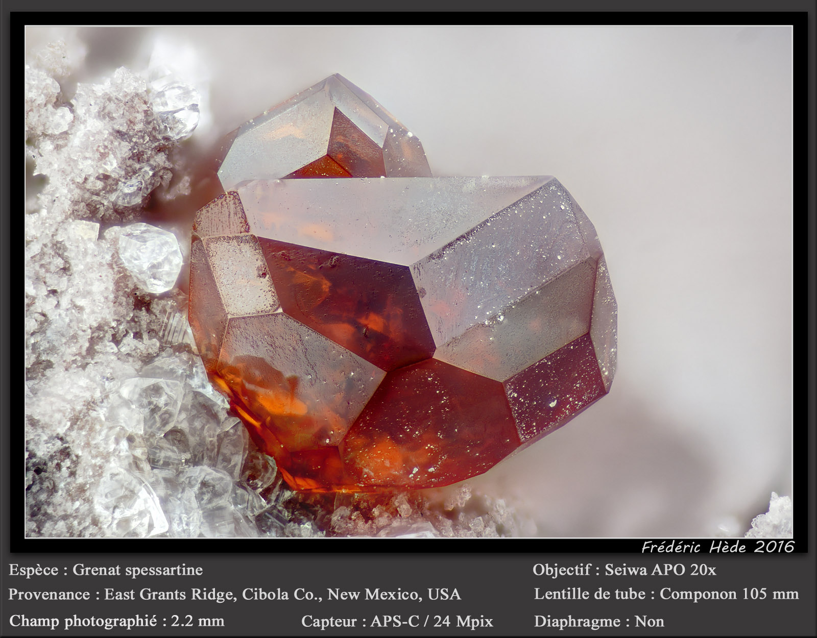 Spessartine (Garnet Group) and Quartz
fov 2.2 mm
(Autor: ploum)