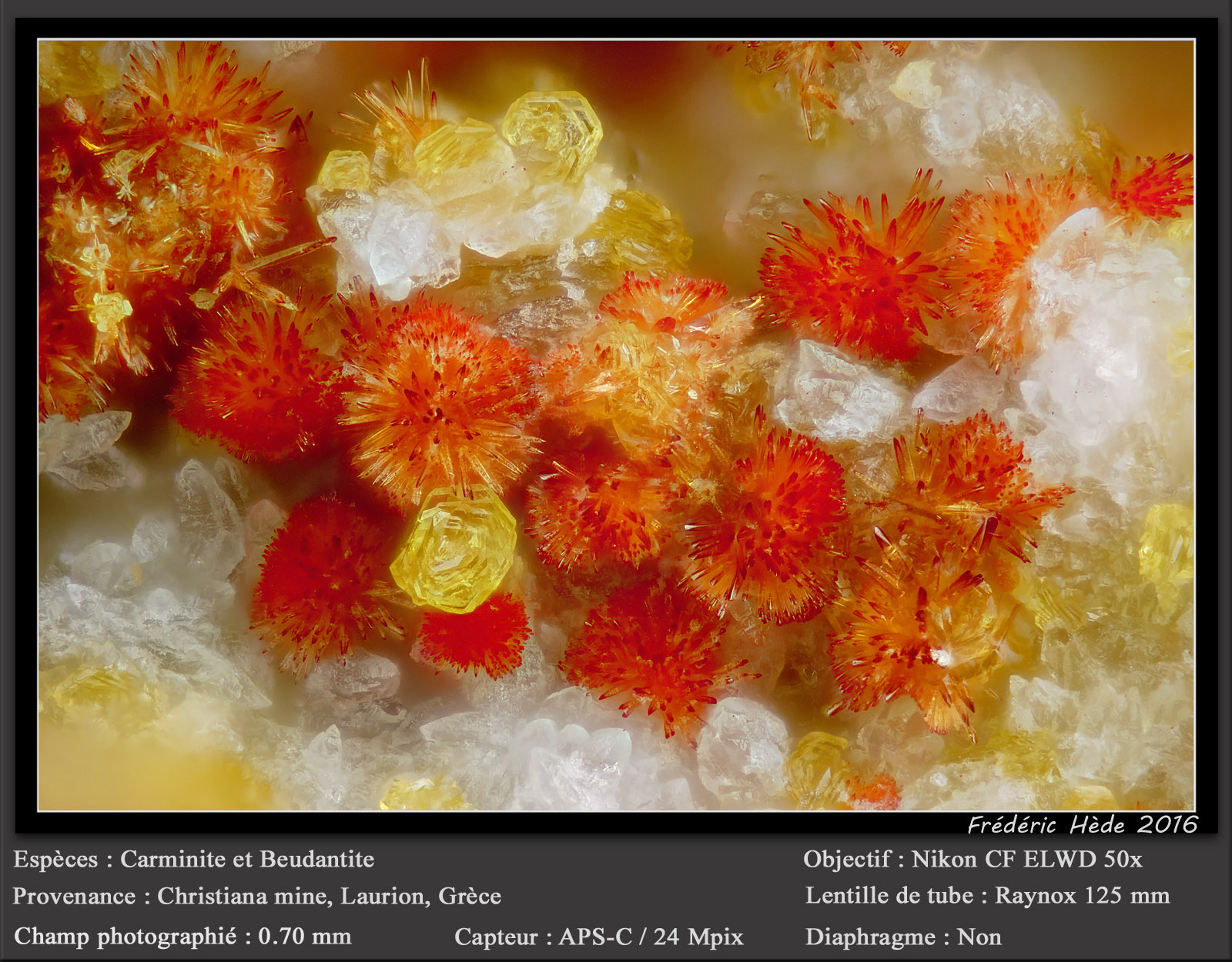 Carminite, Beudantite
fov 0.7 mm
(Autor: ploum)