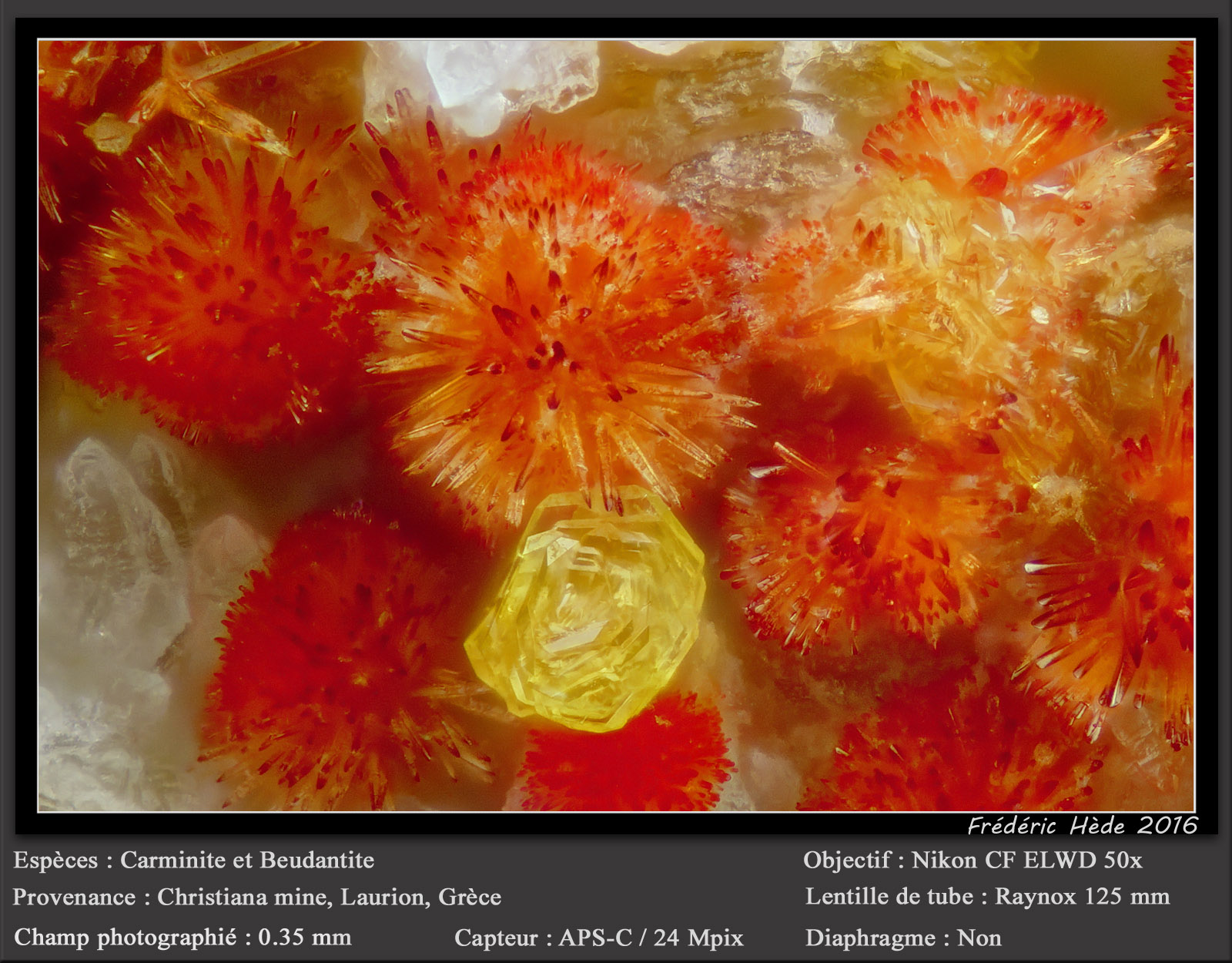 Carminite, Beudantite
fov 0.35 mm
(Autor: ploum)