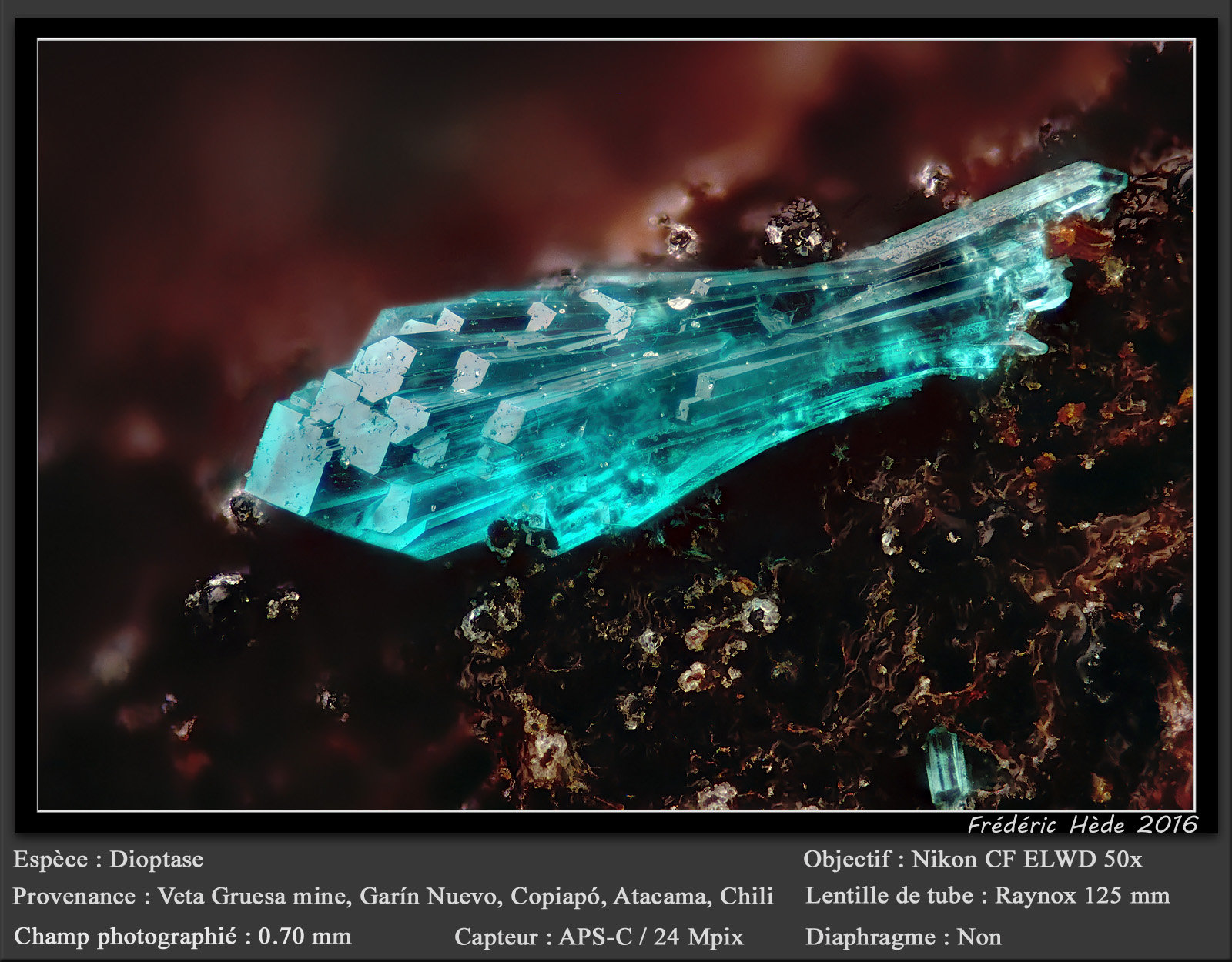 Dioptase
fov 0.70 mm
(Autor: ploum)