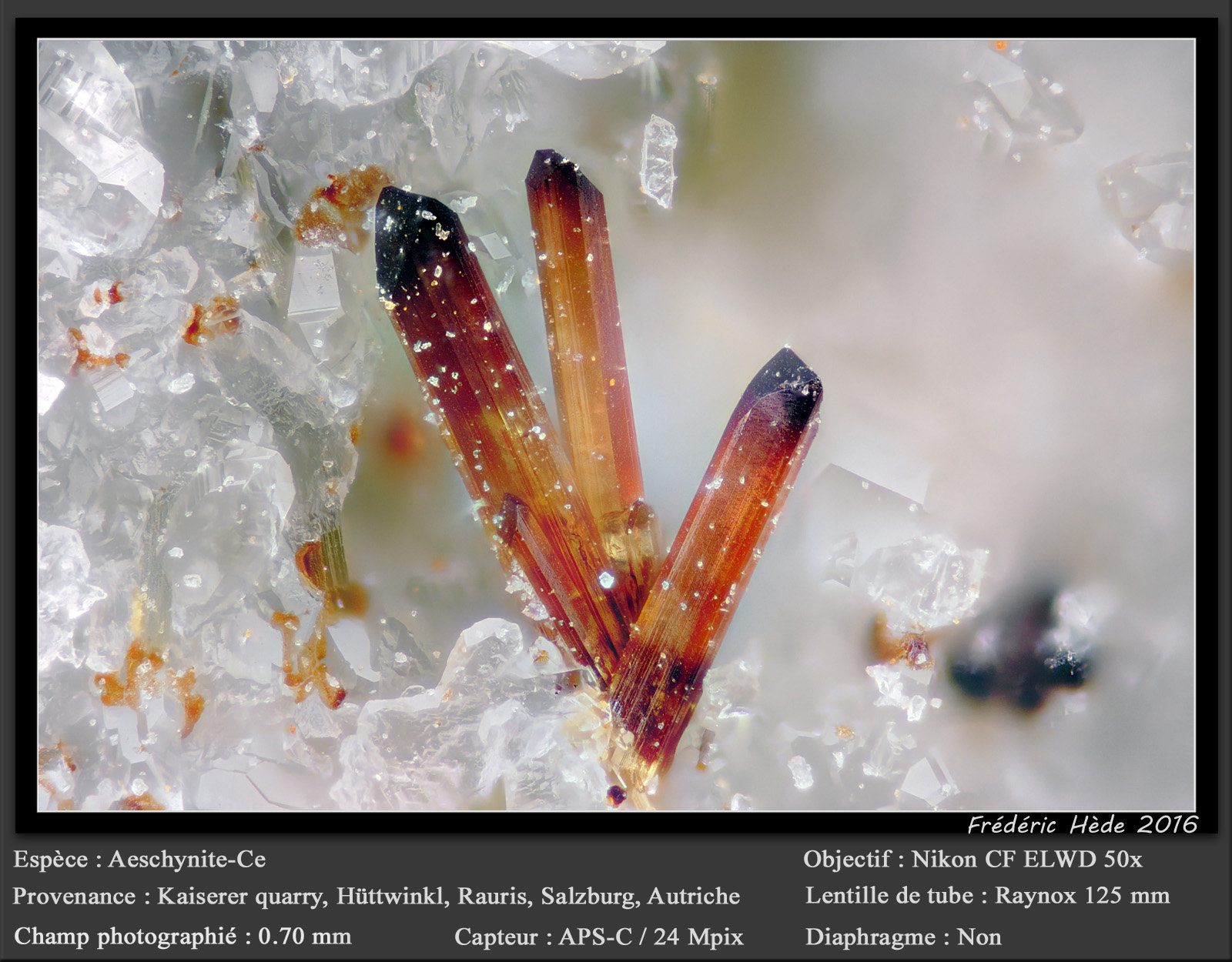 Aeschynite-(Ce)
fov  0.70 mm
(Autor: ploum)