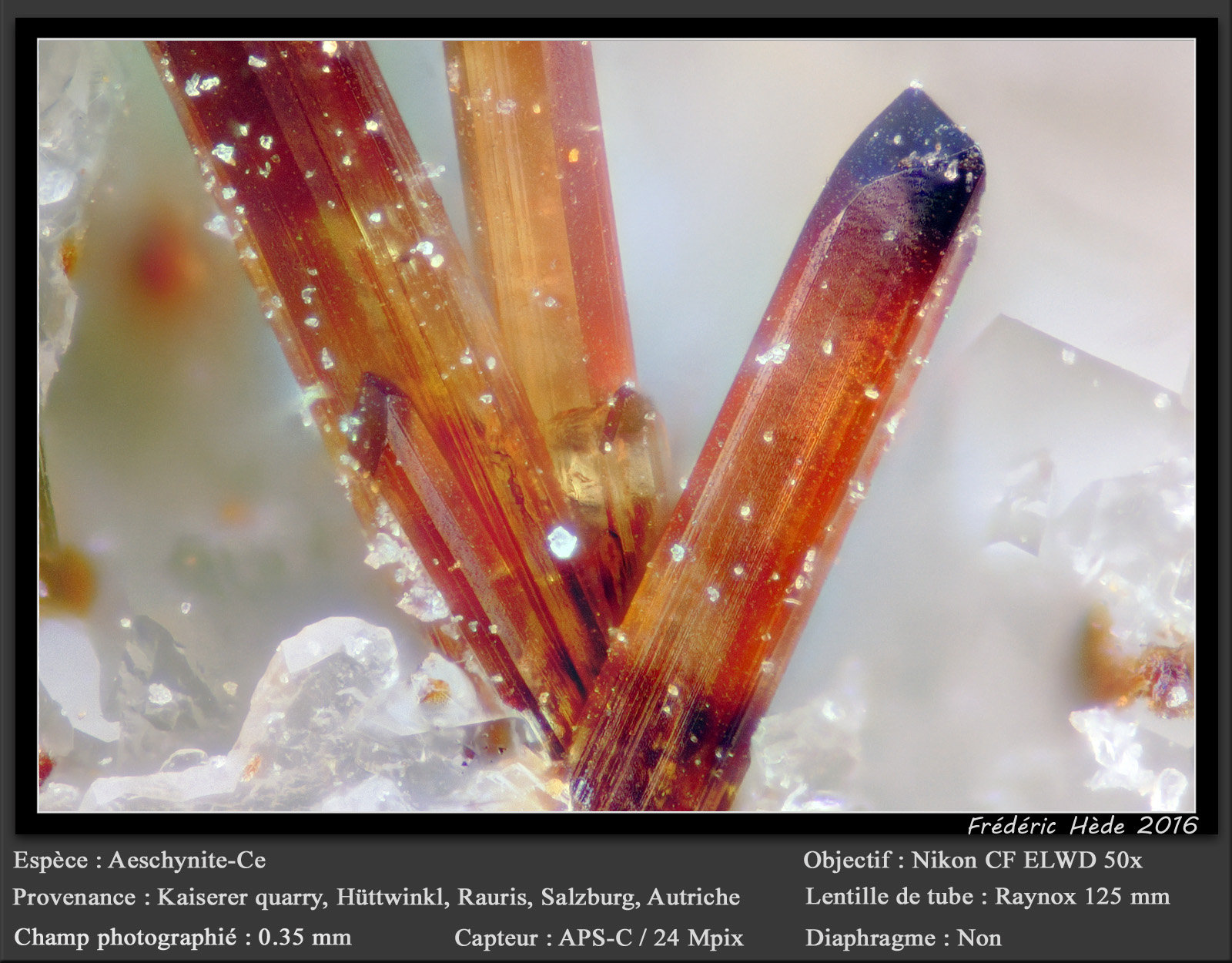 Aeschynite-(Ce)
fov 0.35 mm
(Autor: ploum)
