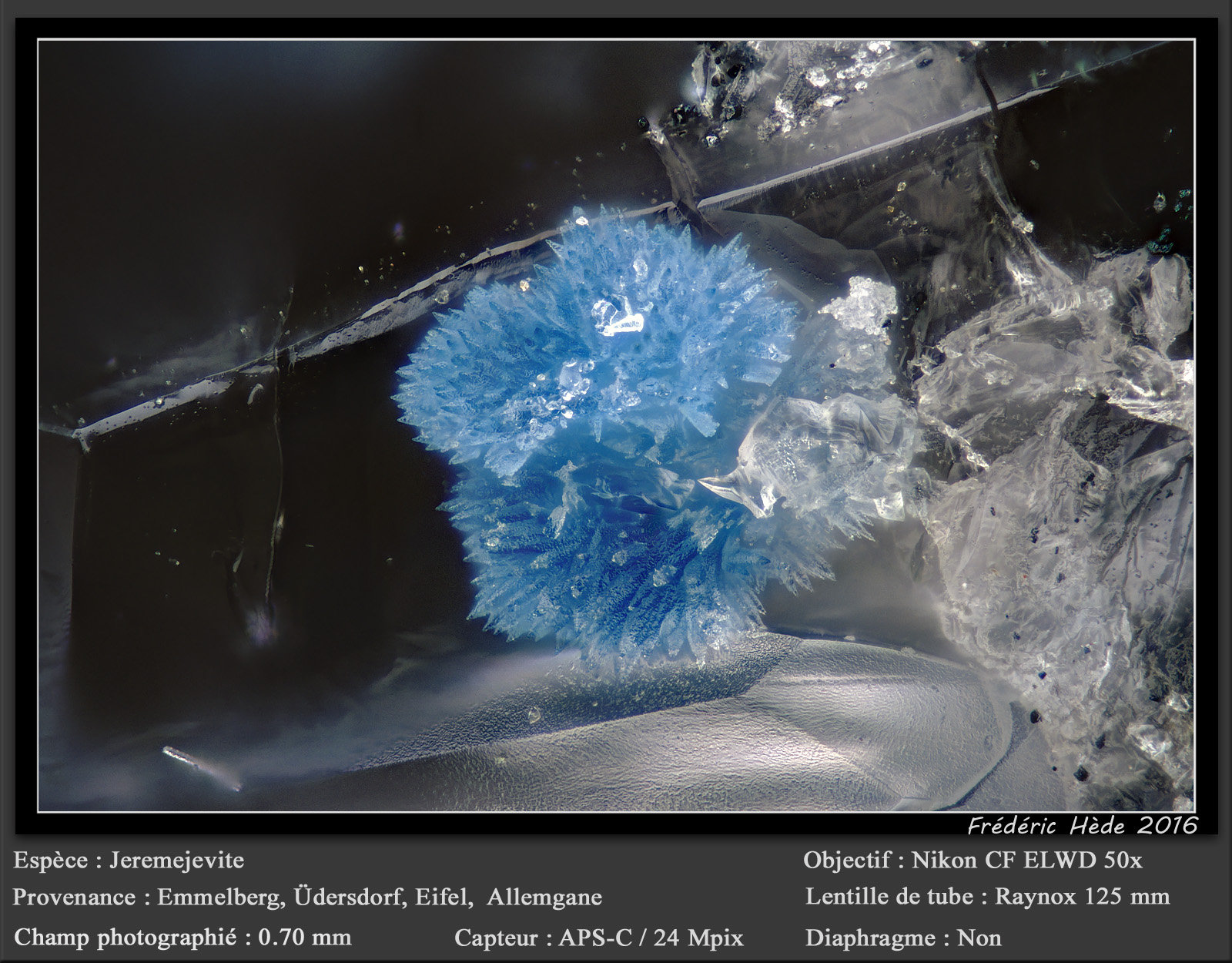 Jeremejevite
fov 0.70 mm
(Autor: ploum)