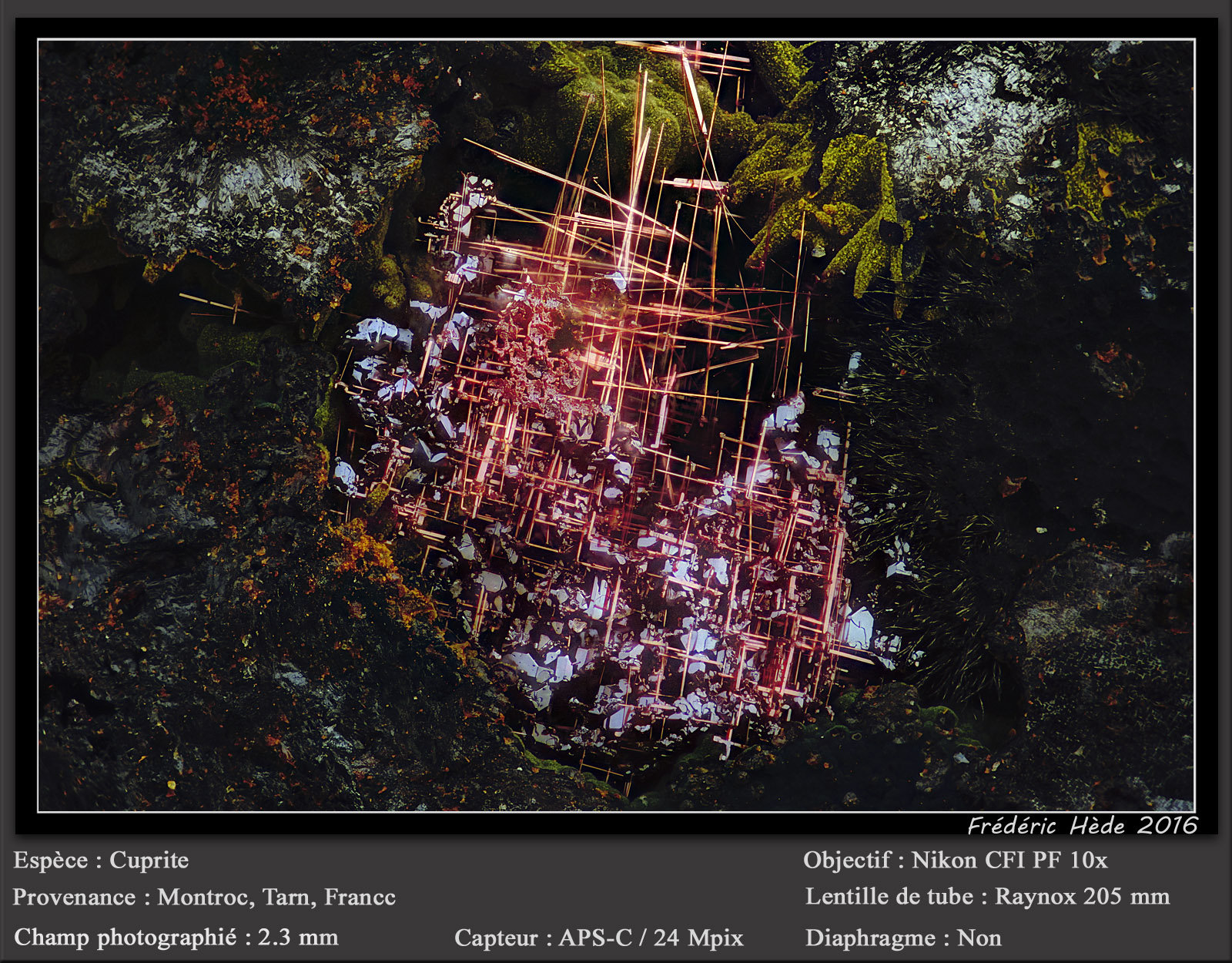 Cuprite (variety chalcotrichite)
fov 2.3 mm
(Autor: ploum)