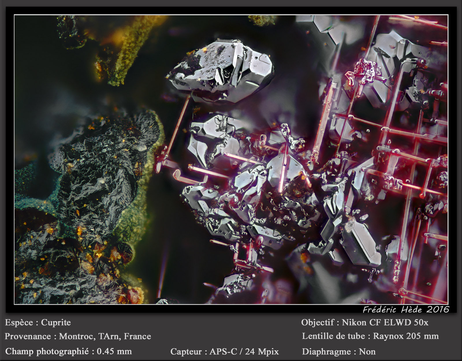 Cuprite and Cuprite (variety chalcotrichite)
fov 0.45 mm
(Autor: ploum)