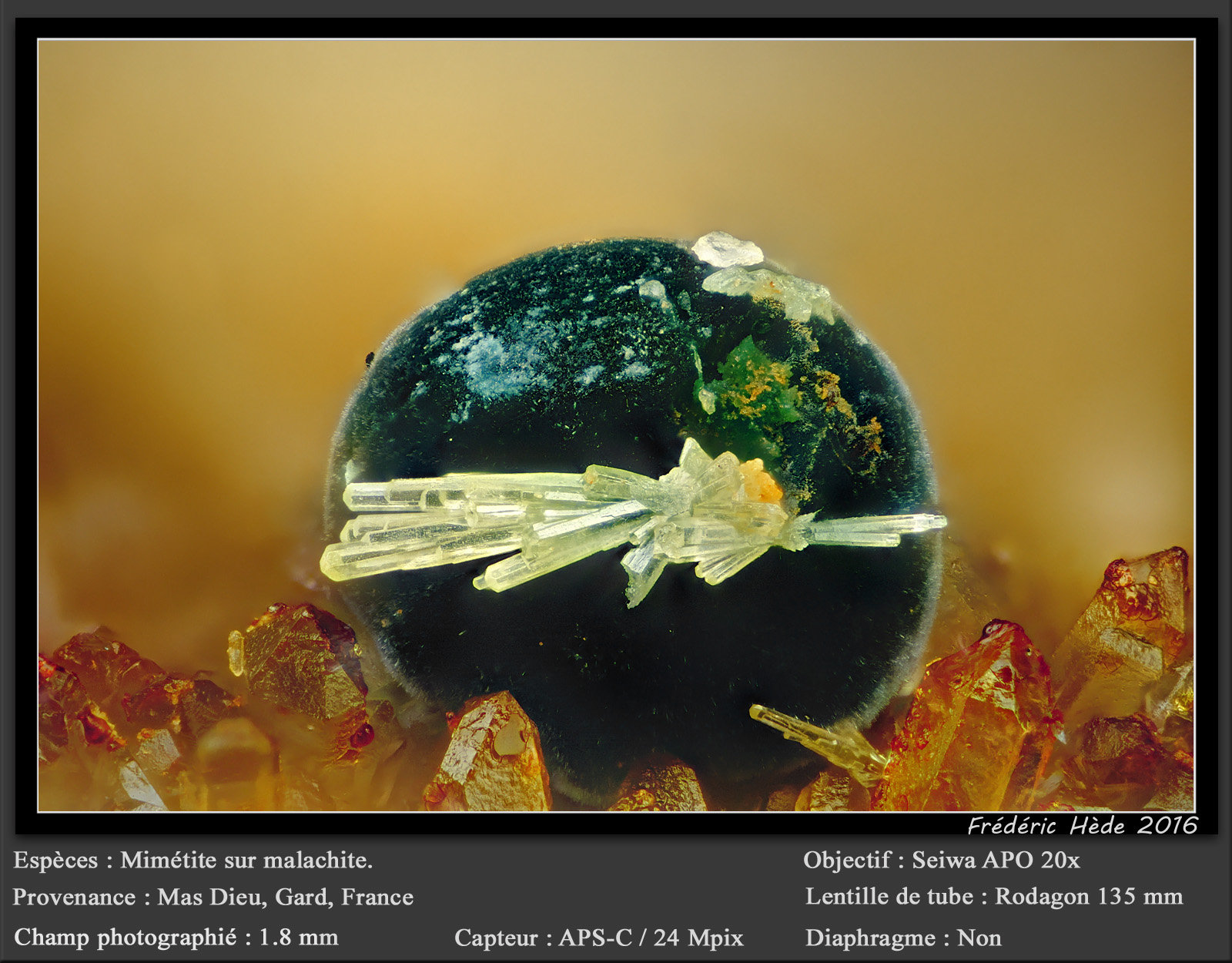 Mimetite on Malachite
fov 1.8 mm
(Autor: ploum)