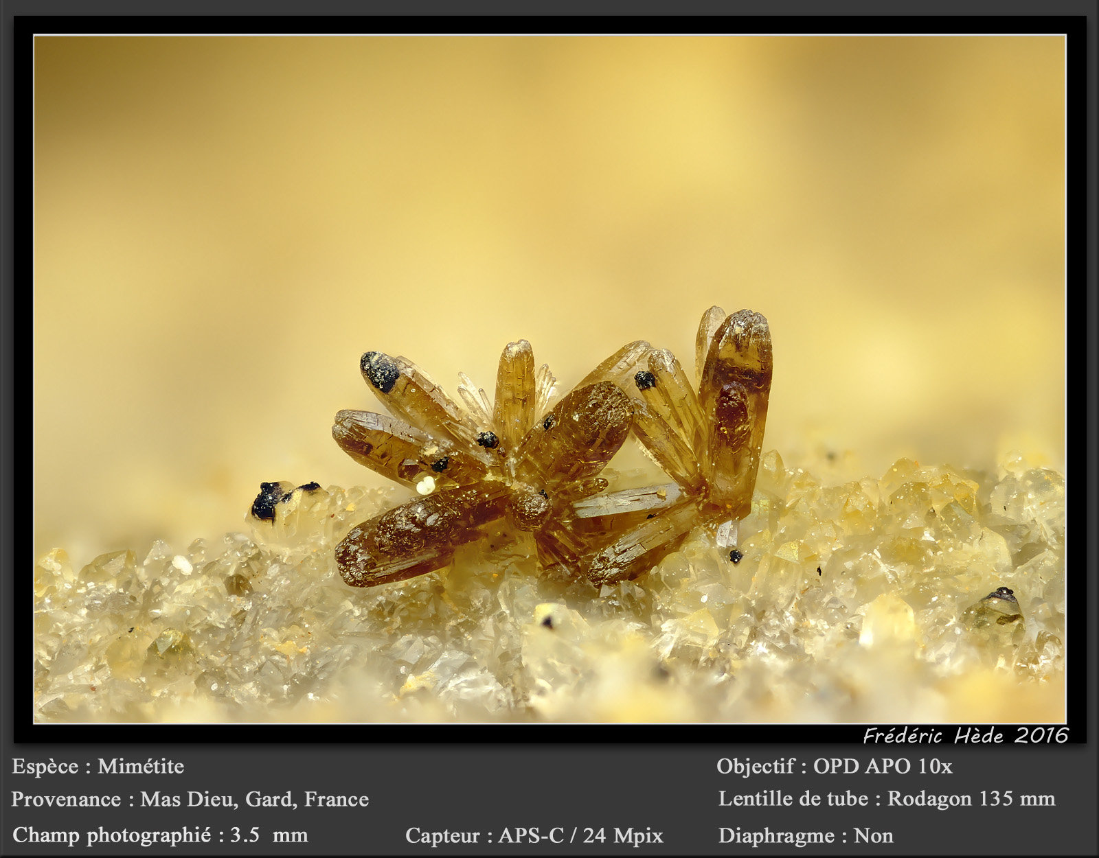 Mimetite
fov 3.5 mm
(Autor: ploum)