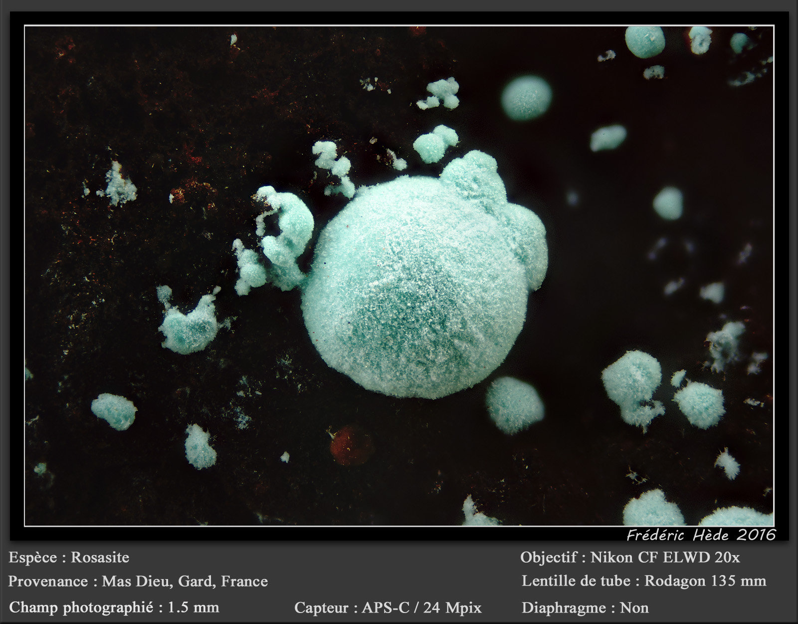 Rosasite
fov 1.5 mm
(Autor: ploum)
