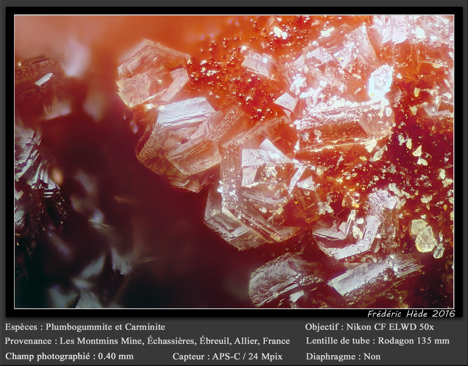 Plumbogummite and Carminite
fov 0.40 mm
(Autor: ploum)