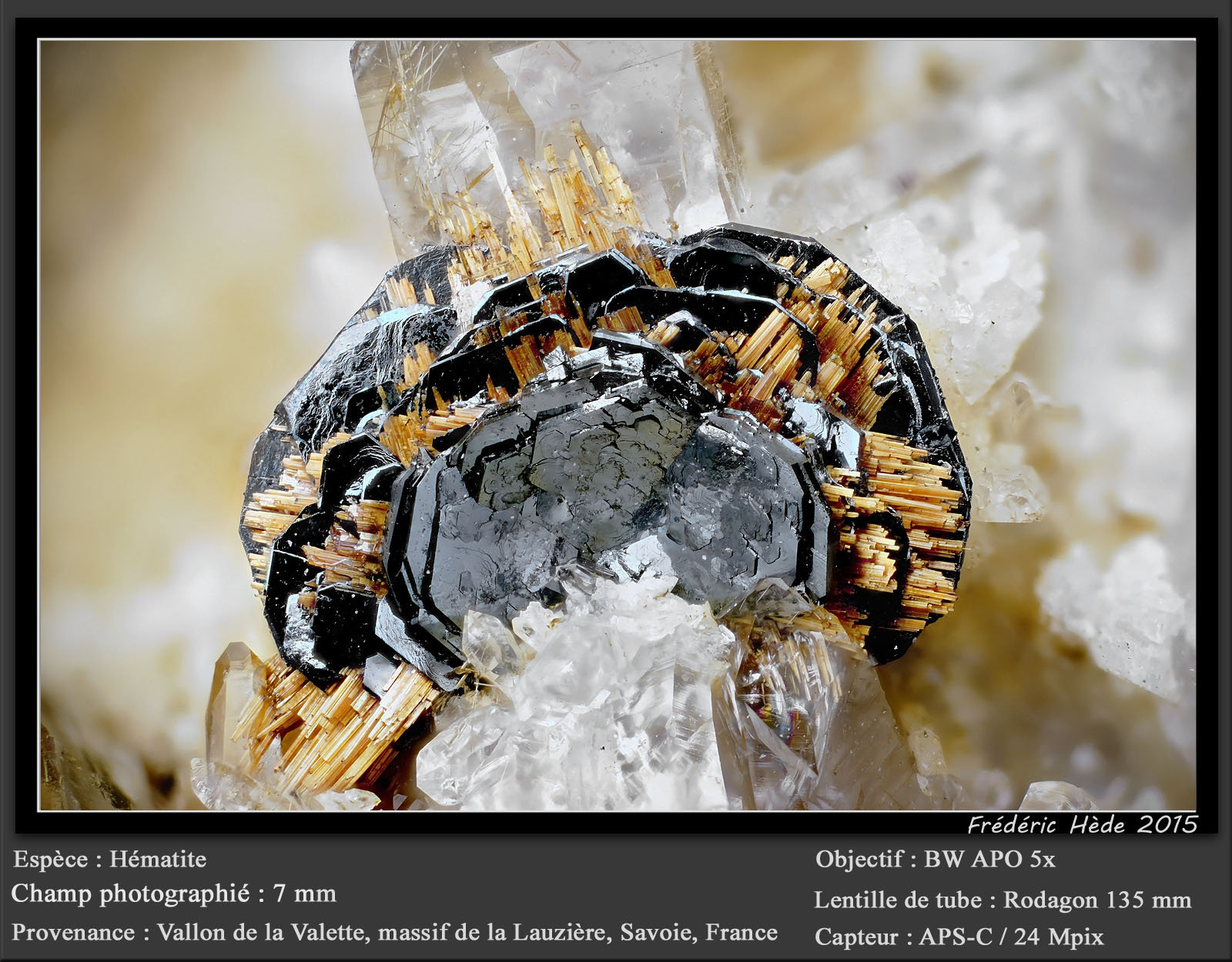 Hematite with Rutile
fov 7 mm
(Autor: ploum)