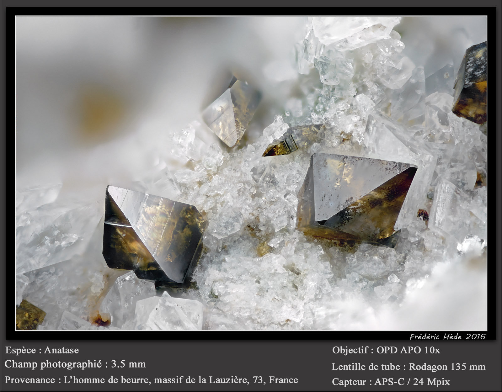 Anatase
fov 3.6 mm
(Autor: ploum)