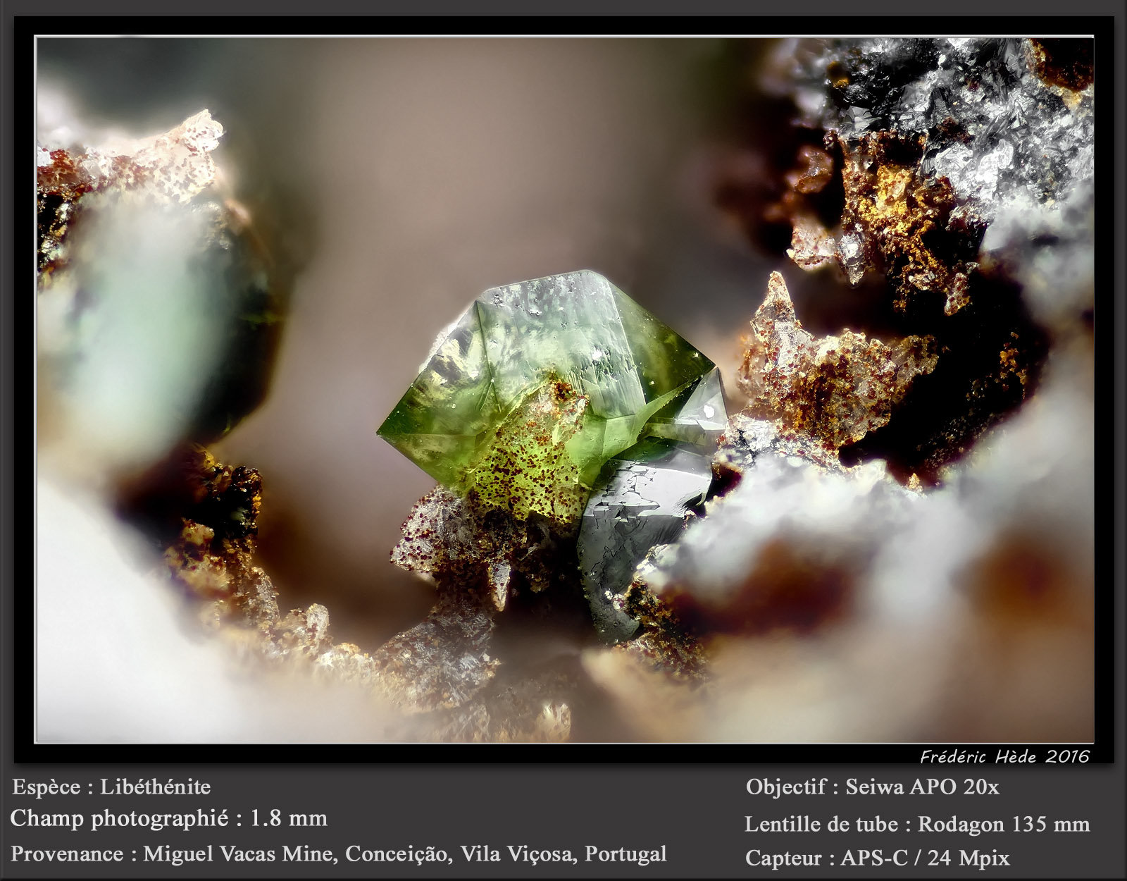 Libethenite
fov 1.8 mm
(Autor: ploum)