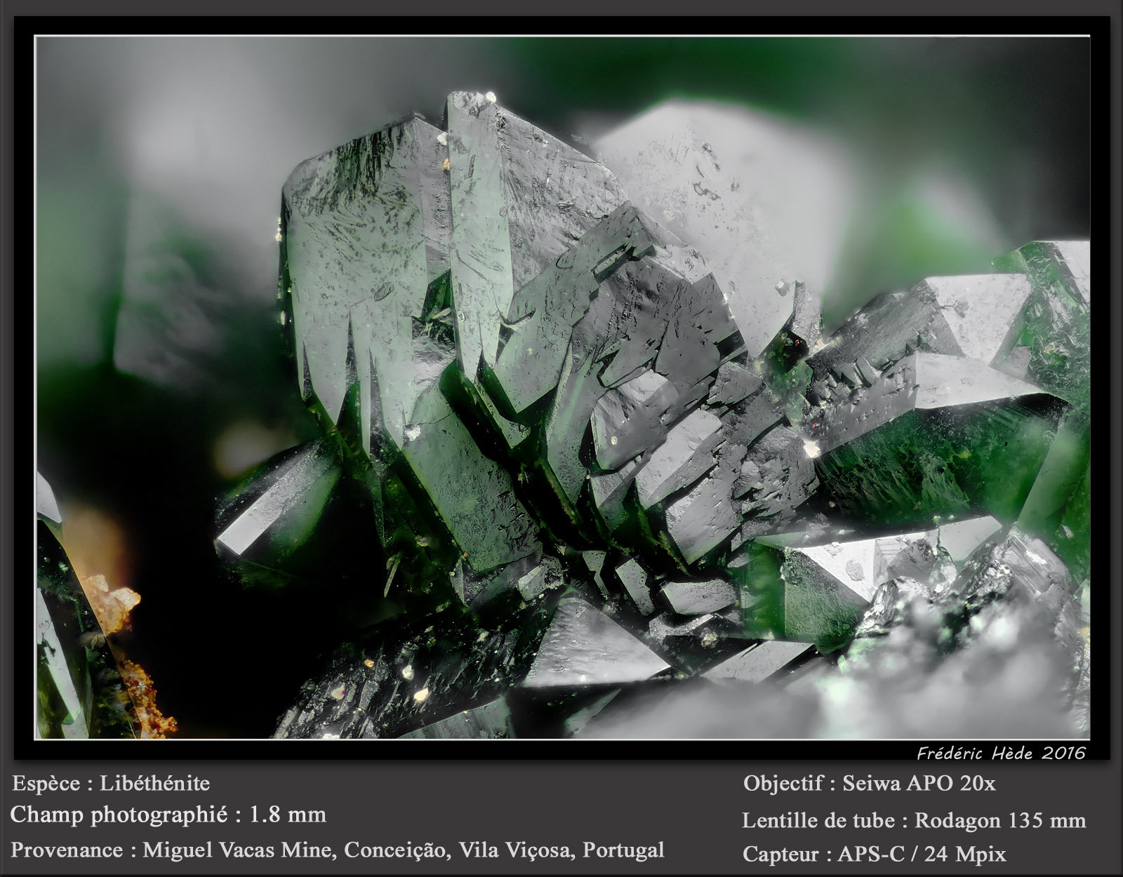 Libethenite
fov 1.8 mm
(Autor: ploum)