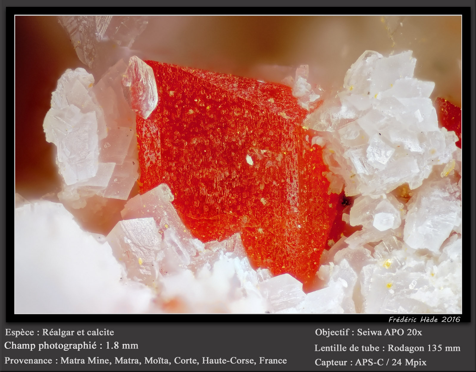 Realgar and Calcite
fov 1.8 mm
(Autor: ploum)