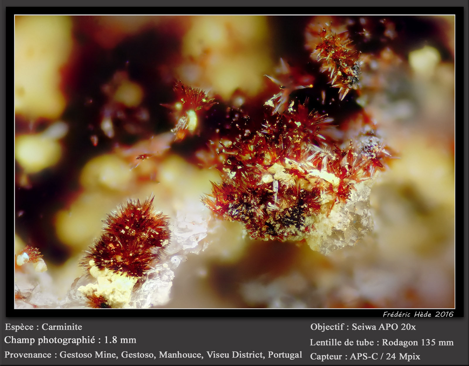 Carminite
fov 1.8 mm
(Autor: ploum)