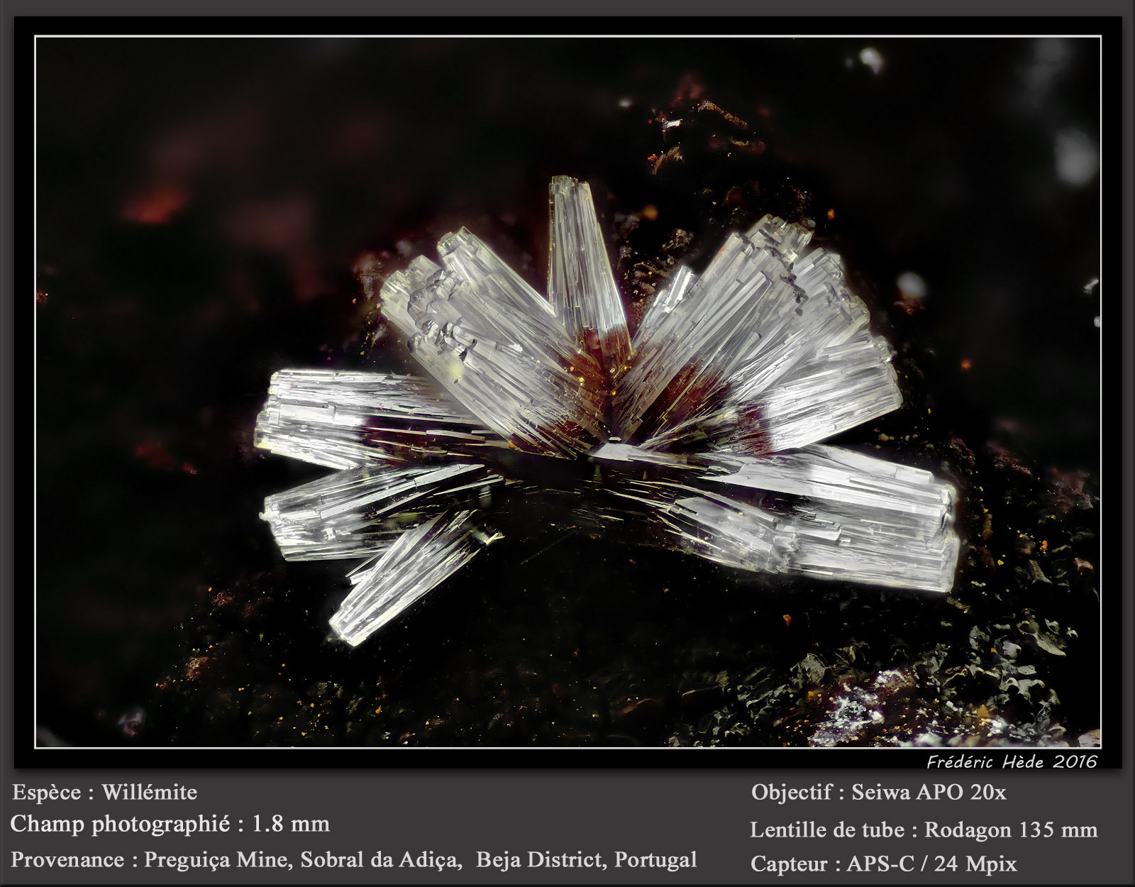 Willemite
fov 1.8 mm
(Autor: ploum)