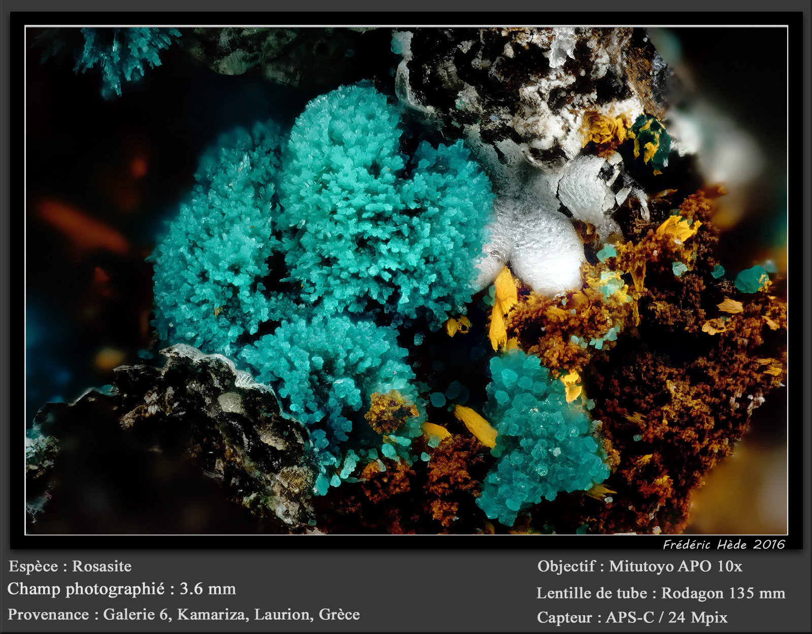 Rosasite
fov 3.6 mm
(Autor: ploum)