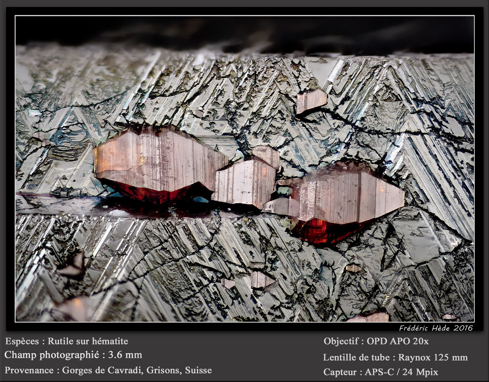 Rutile and Hematite
fov 3.6 mm
(Autor: ploum)