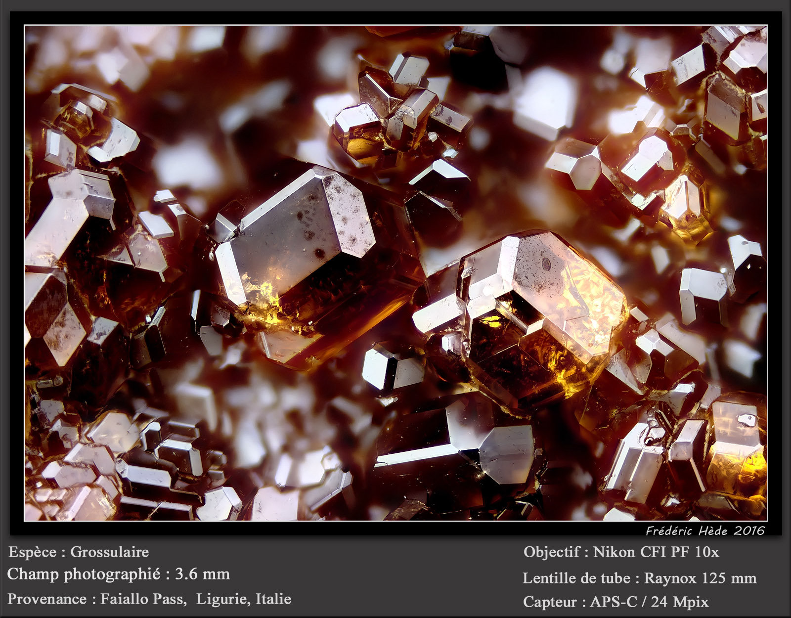 Grossular (Garnet Group)
fov 3.6 mm
(Autor: ploum)