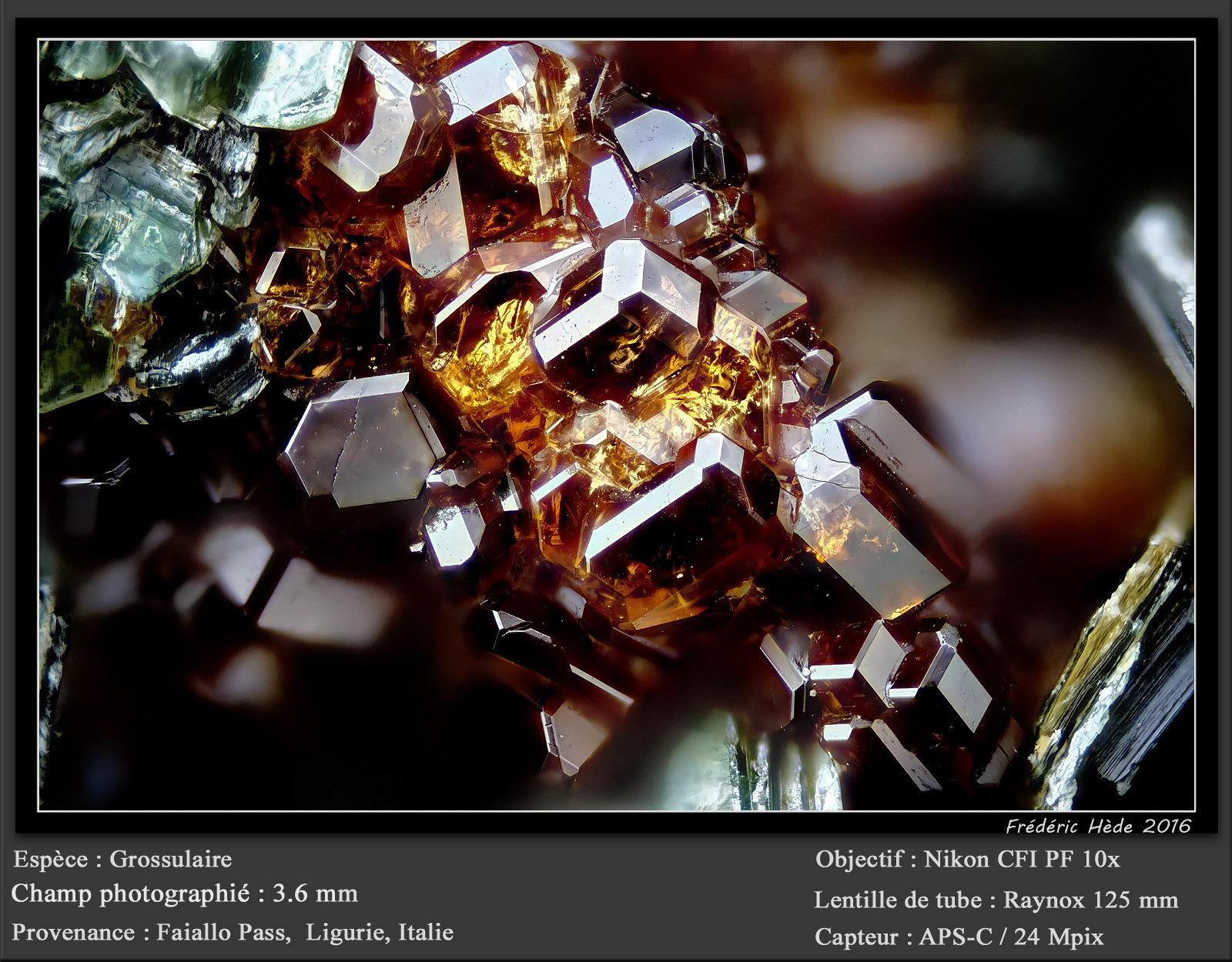 Grossular (Garnet Group)
fov 3.6 mm
(Autor: ploum)