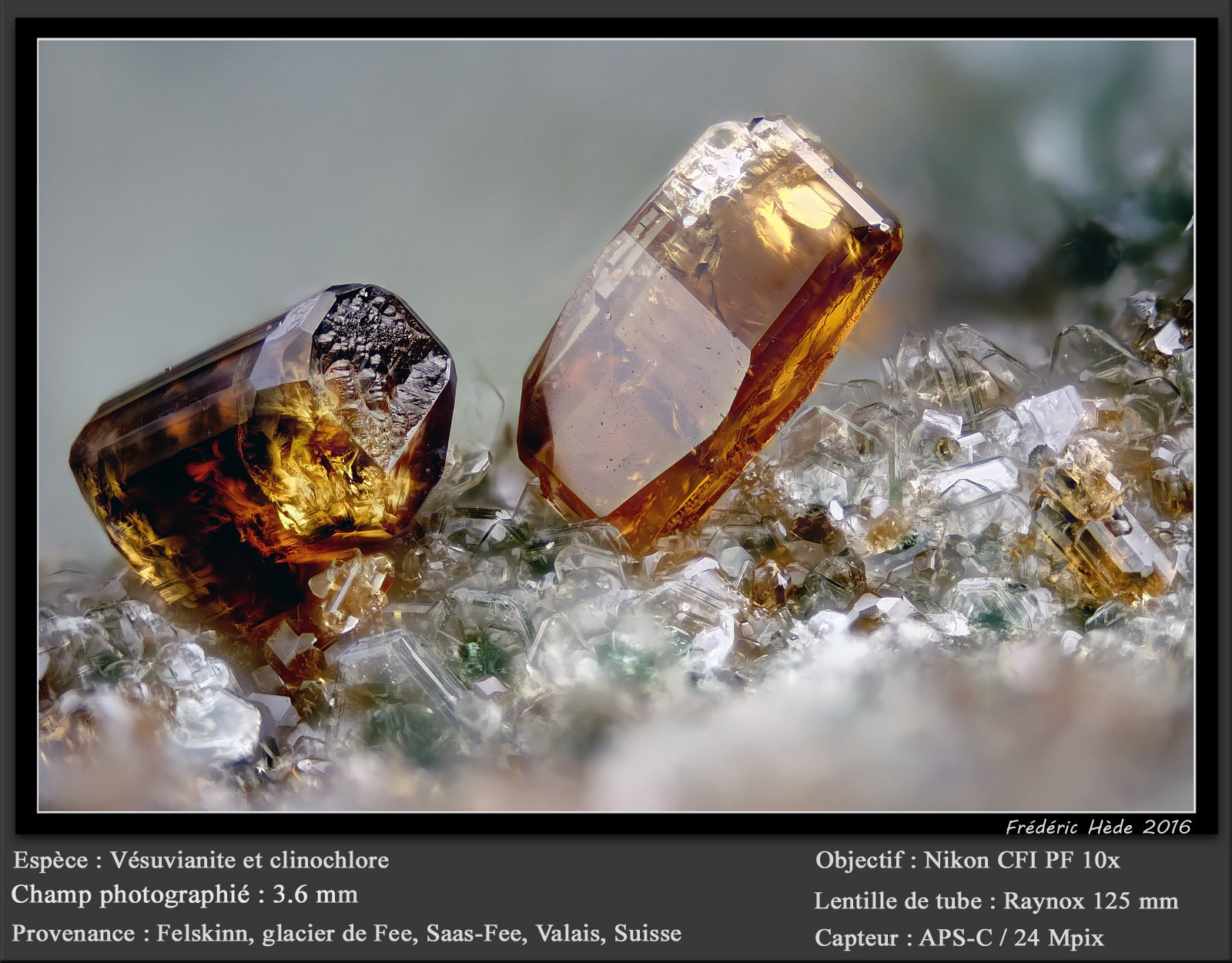 Vesuvianite
fov 3.6 mm
(Autor: ploum)
