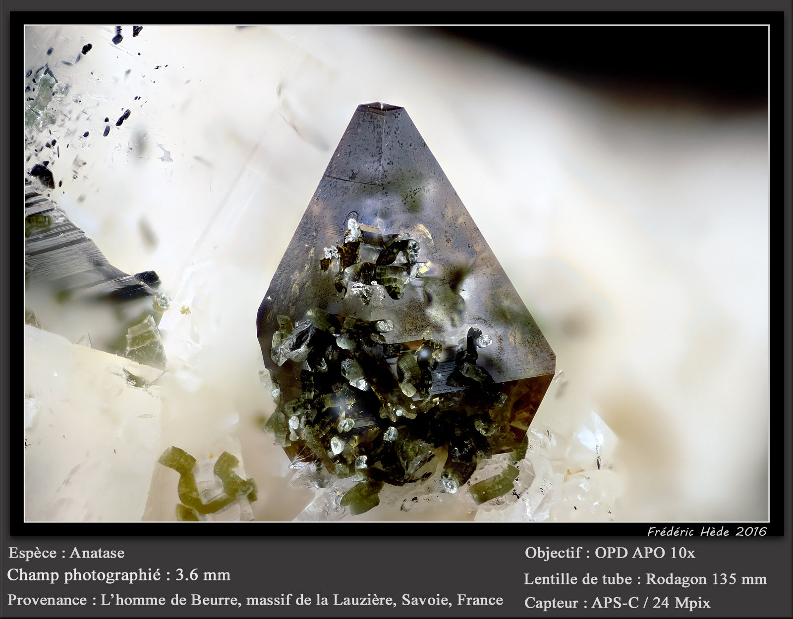 Anatase
fov 3.6 mm
(Autor: ploum)