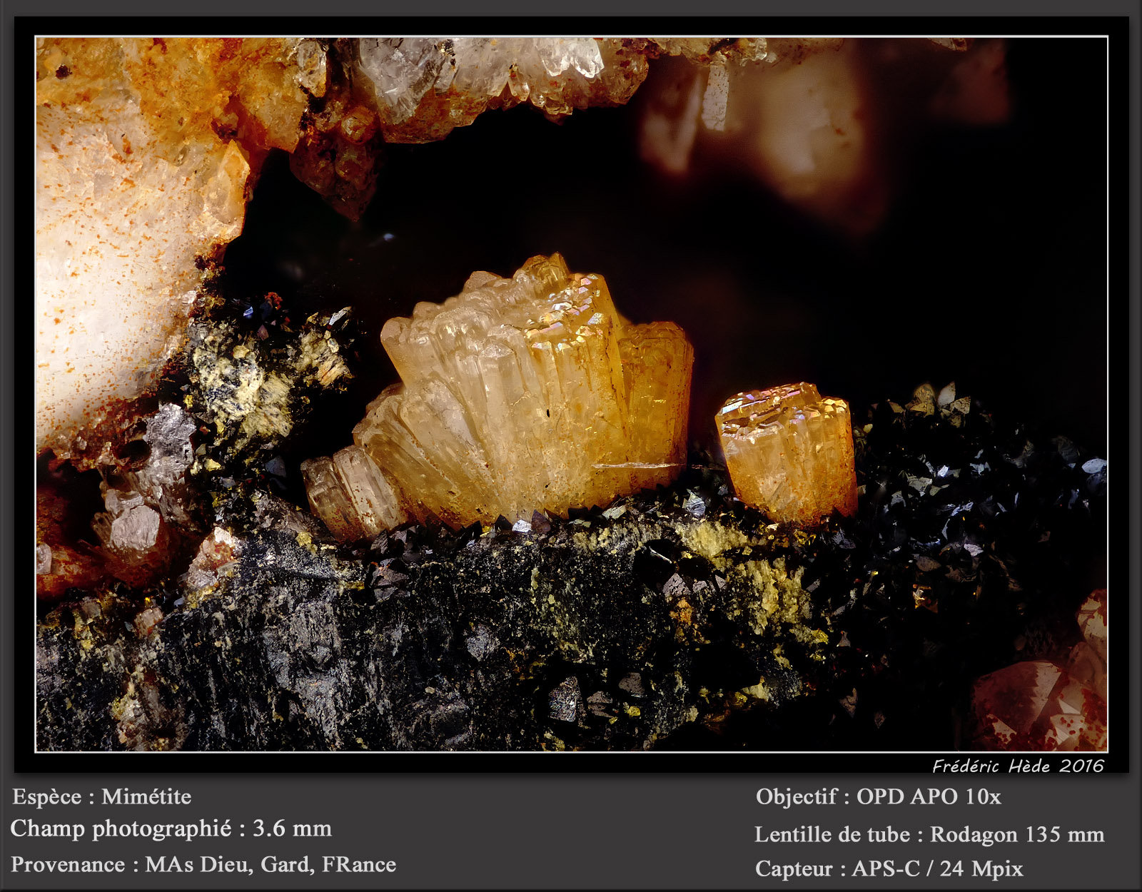 Mimetite
fov 3.6 mm
(Autor: ploum)