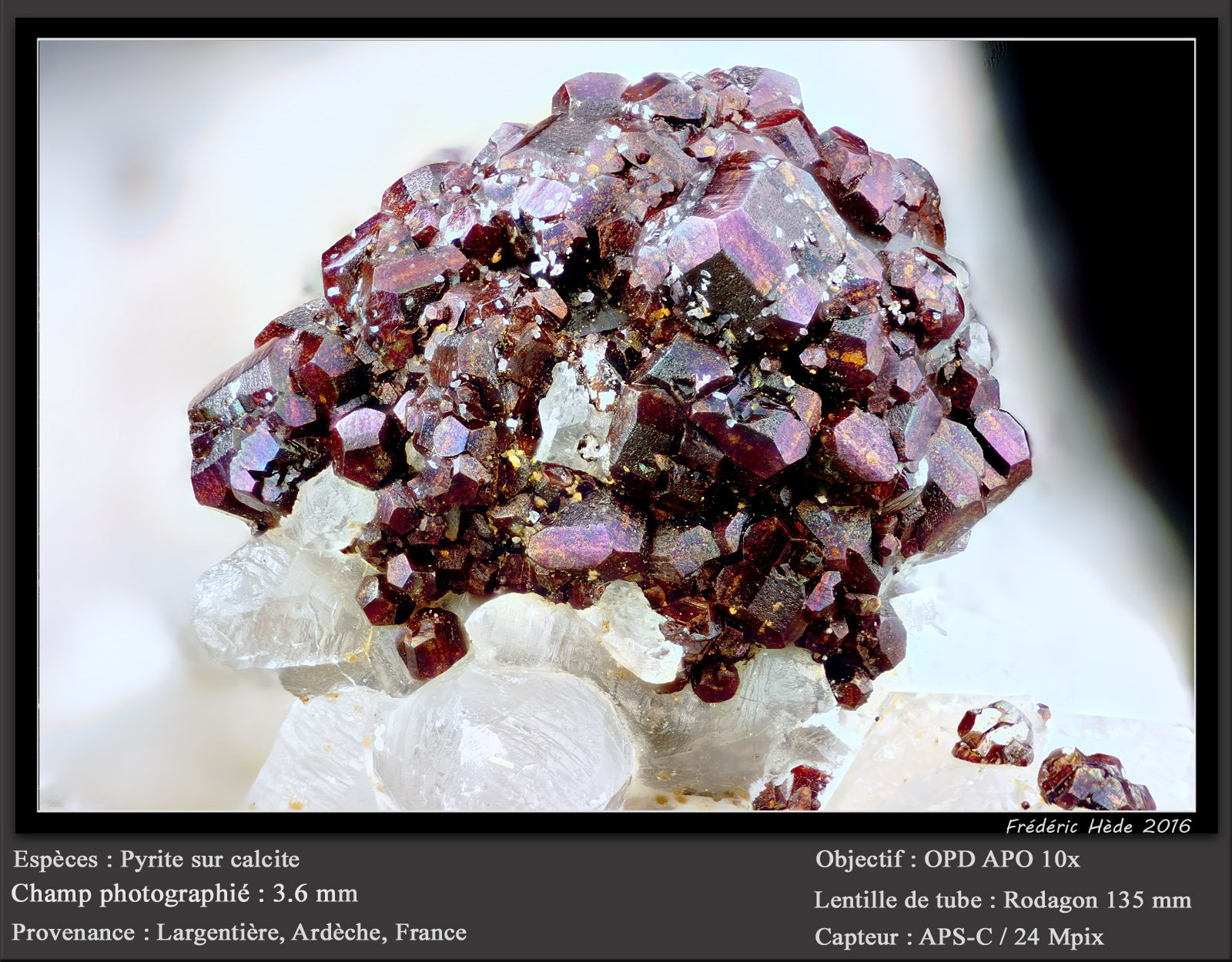 Pyrite on Calcite
fov 3.6 mm
(Autor: ploum)