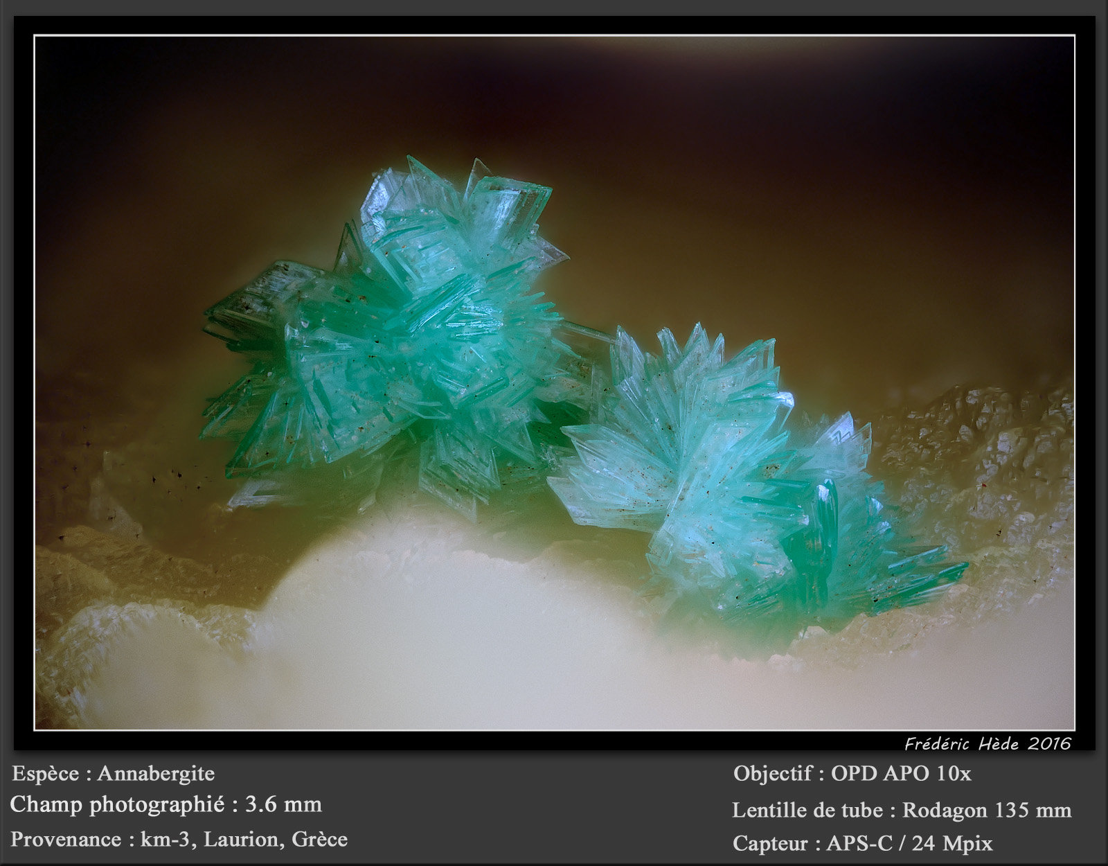 Annabergite
fov 3.6 mm
(Autor: ploum)