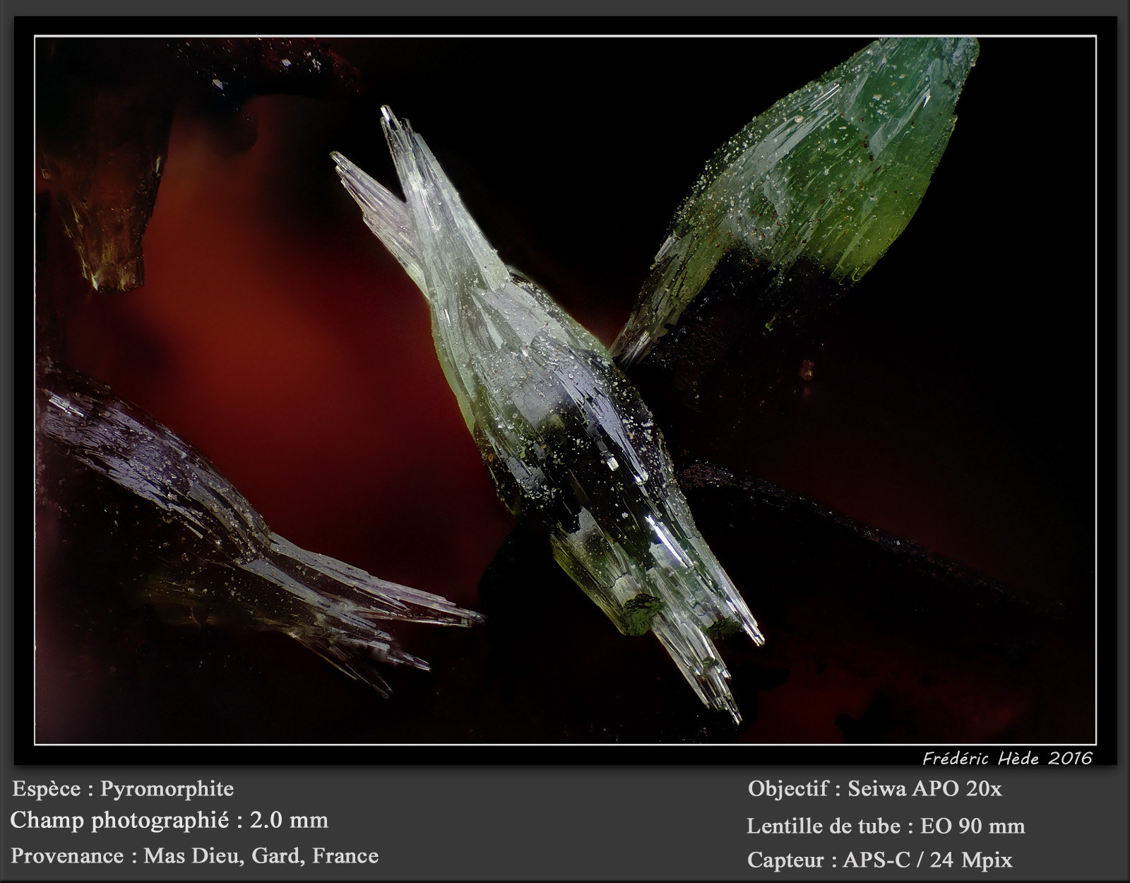 Pyromorphite
fov 2.0 mm
(Autor: ploum)