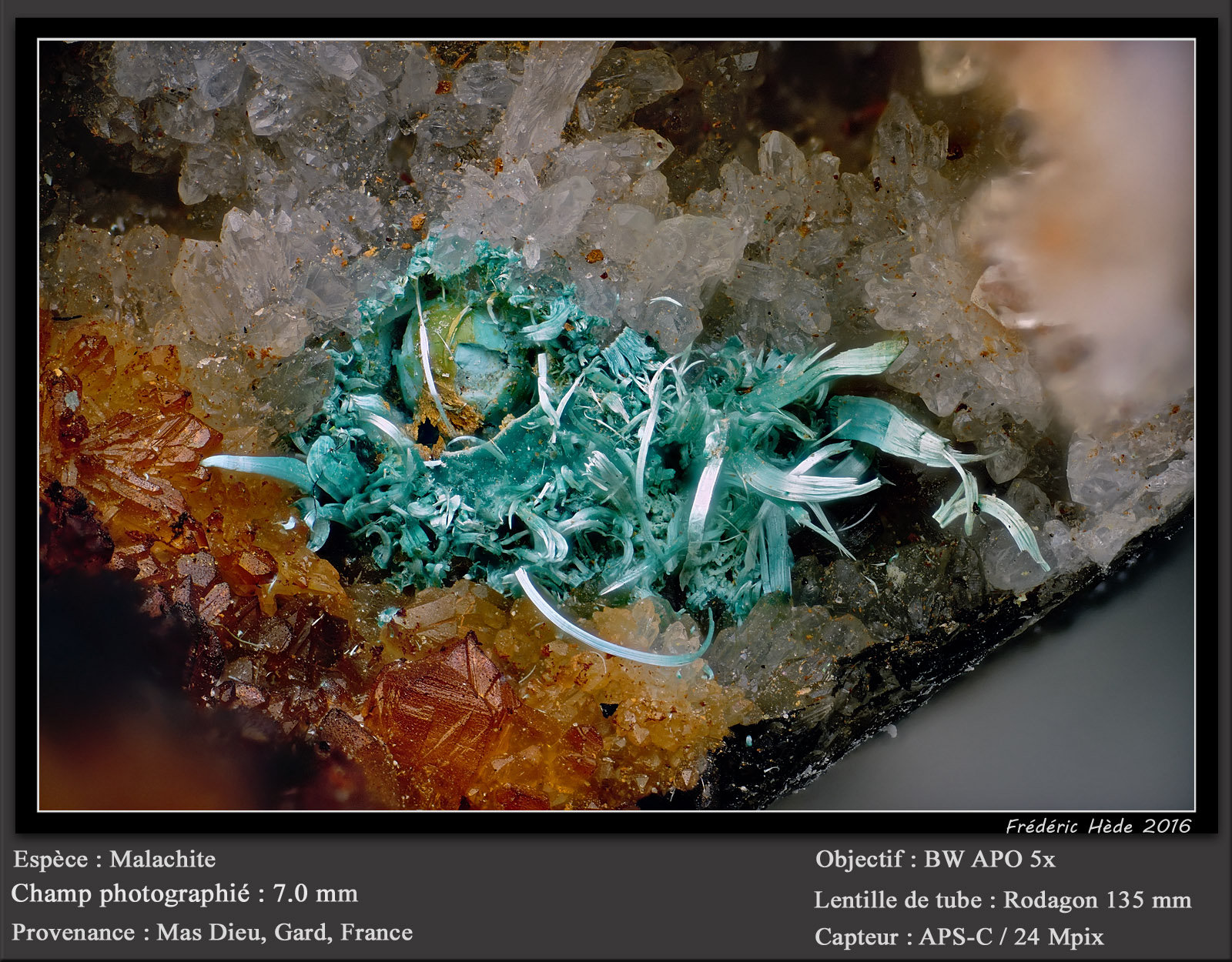 Malachite
fov 7.0 mm
(Autor: ploum)