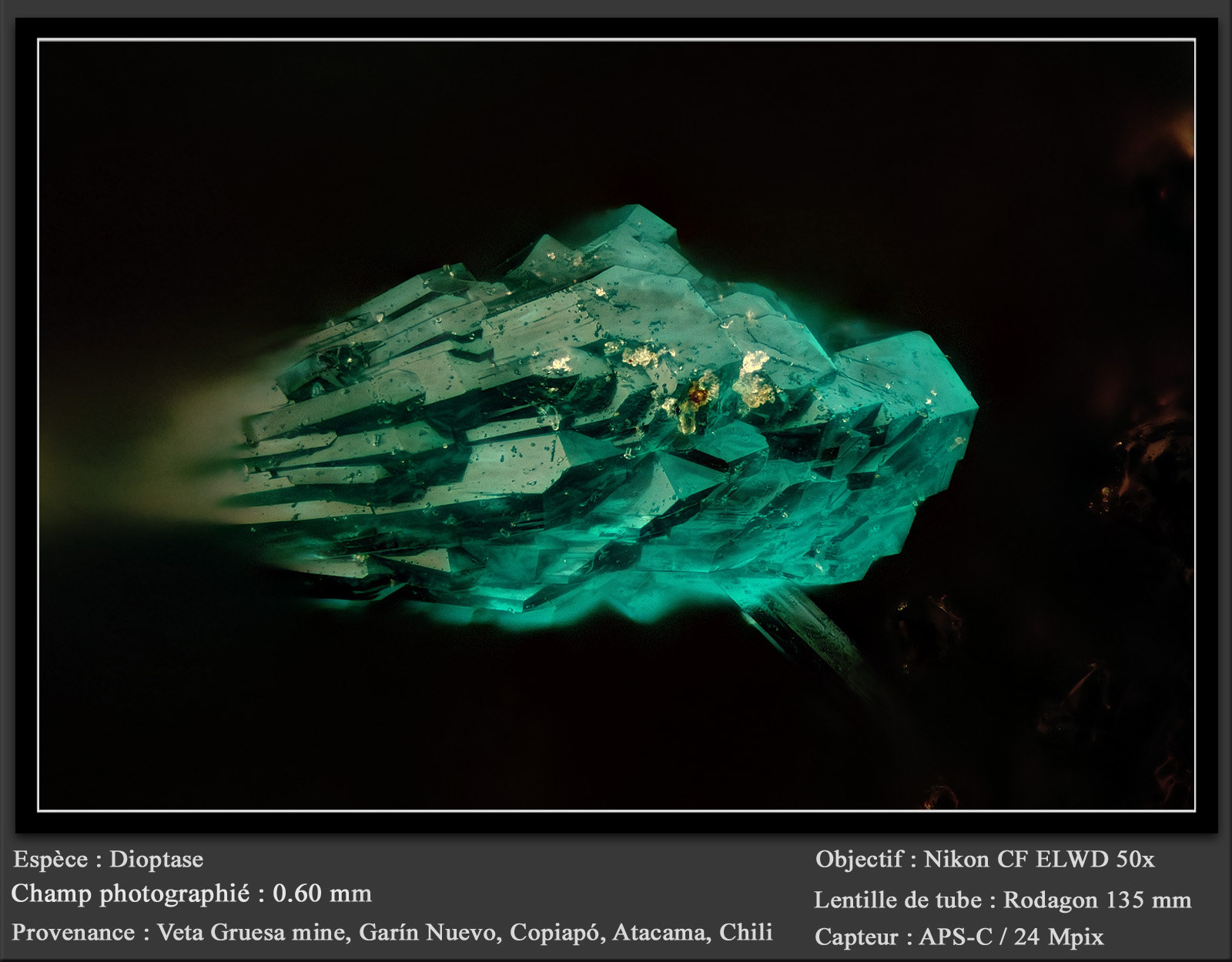 Dioptase
fov 0.60 mm
(Autor: ploum)