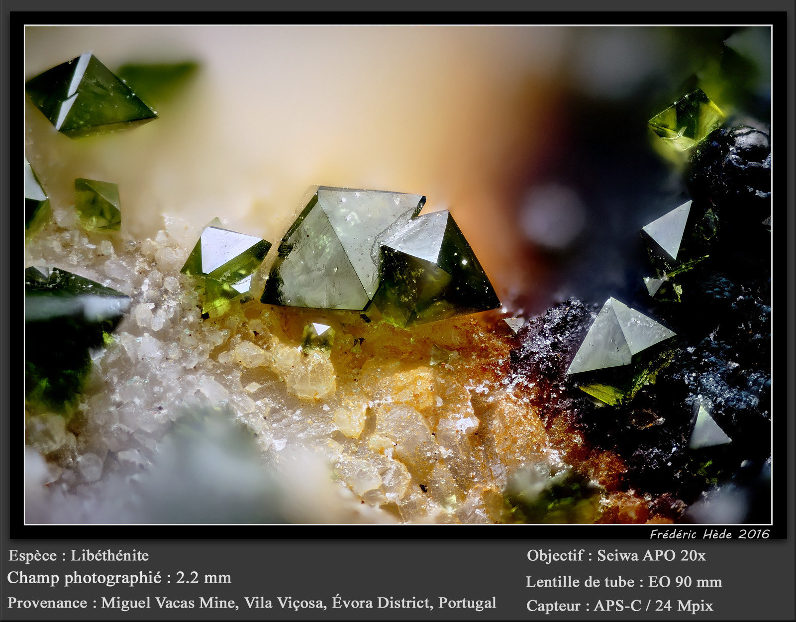 Libethenite
fov 2.2 mm
(Autor: ploum)