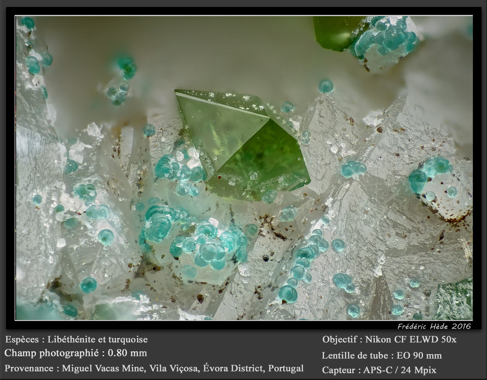 Libethenite and Turquoise
fov 0.80 mm
(Autor: ploum)