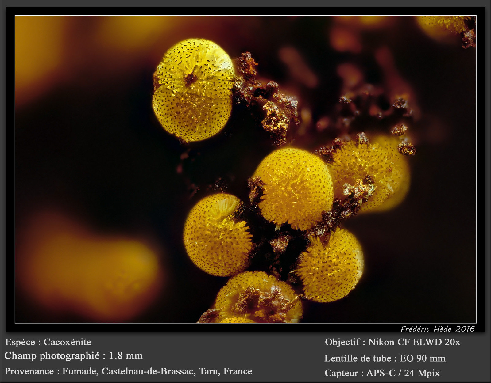 Cacoxenite
fov 1.8 mm
(Autor: ploum)