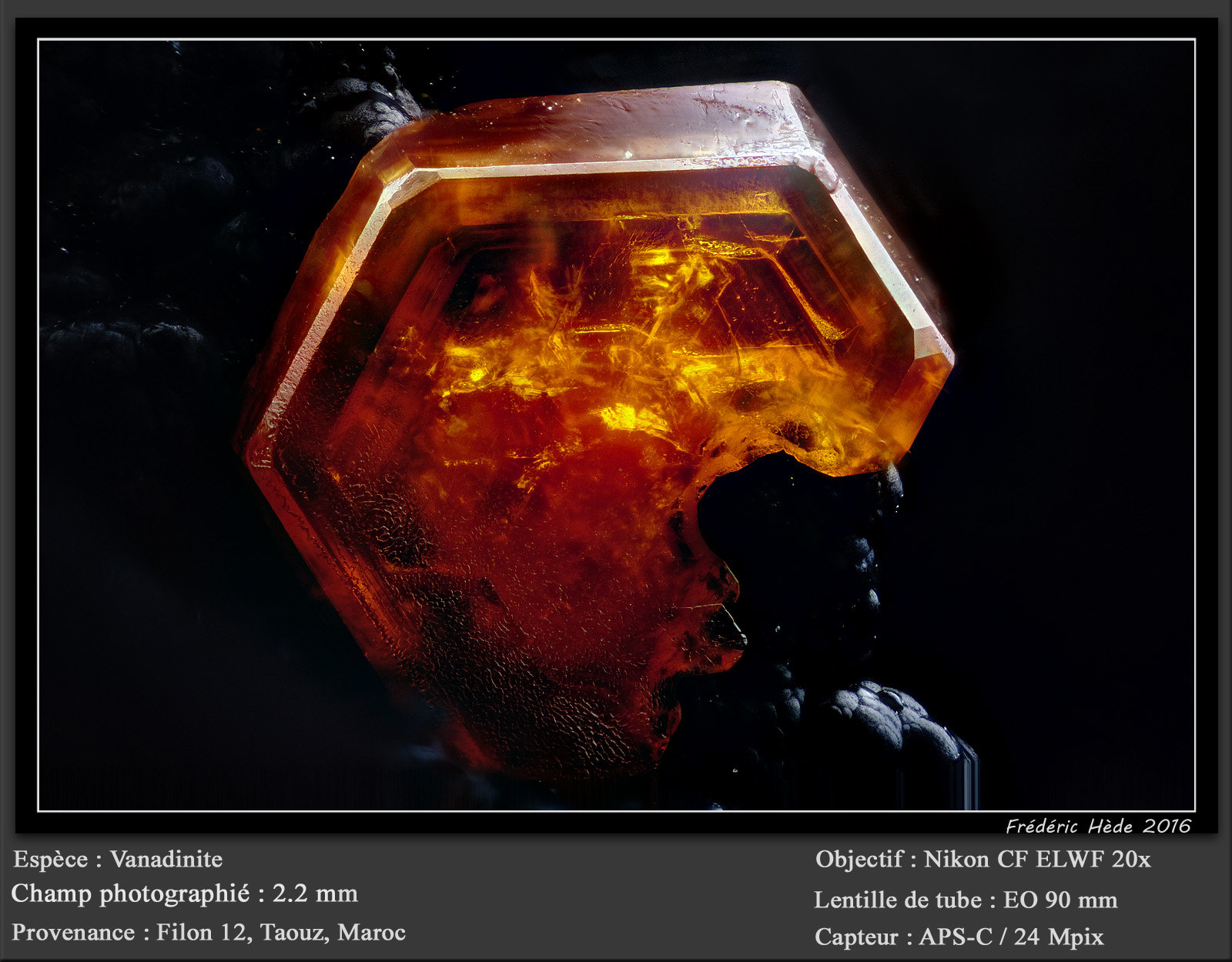 Vanadinite
fov 2.2 mm
(Autor: ploum)