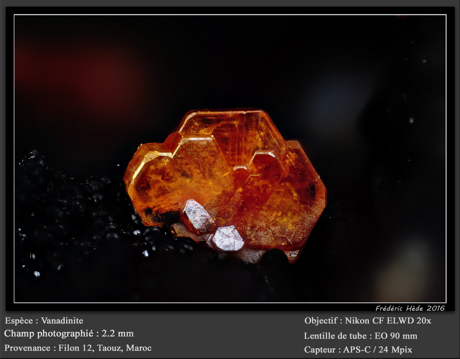 Vanadinite
fov 2.2 mm
(Autor: ploum)