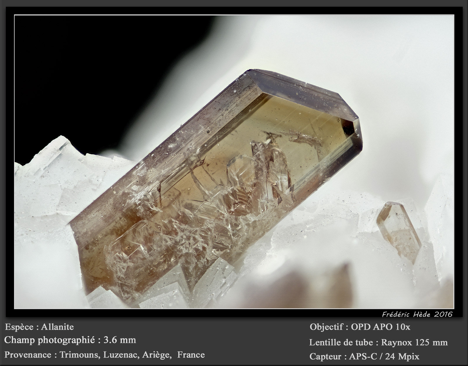 Allanite
fov 3.6 mm
(Autor: ploum)