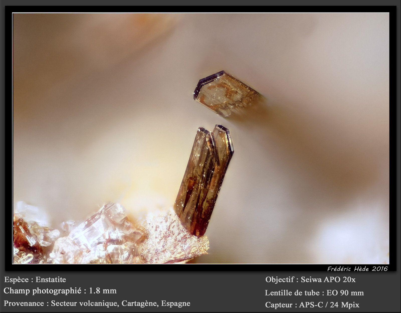 Enstatite
fov 1.8 mm
(Autor: ploum)