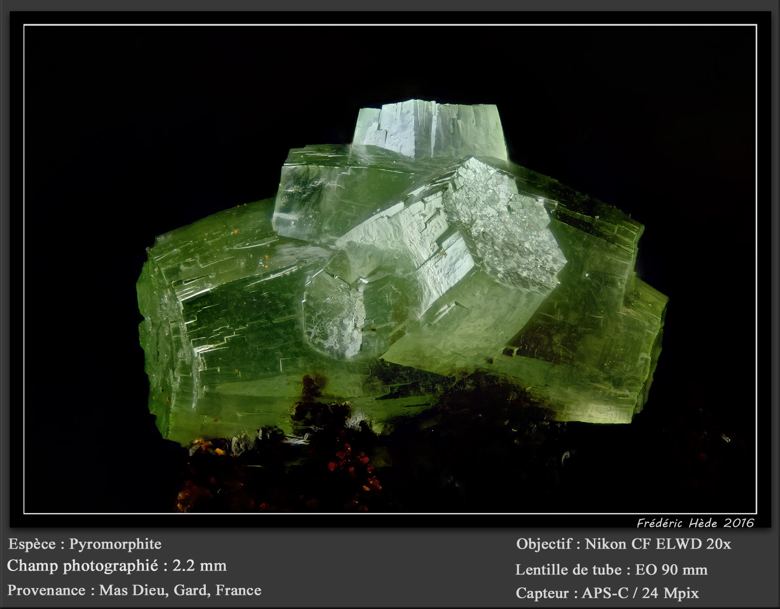 Pyromorphite
fov 2.2 mm
(Autor: ploum)