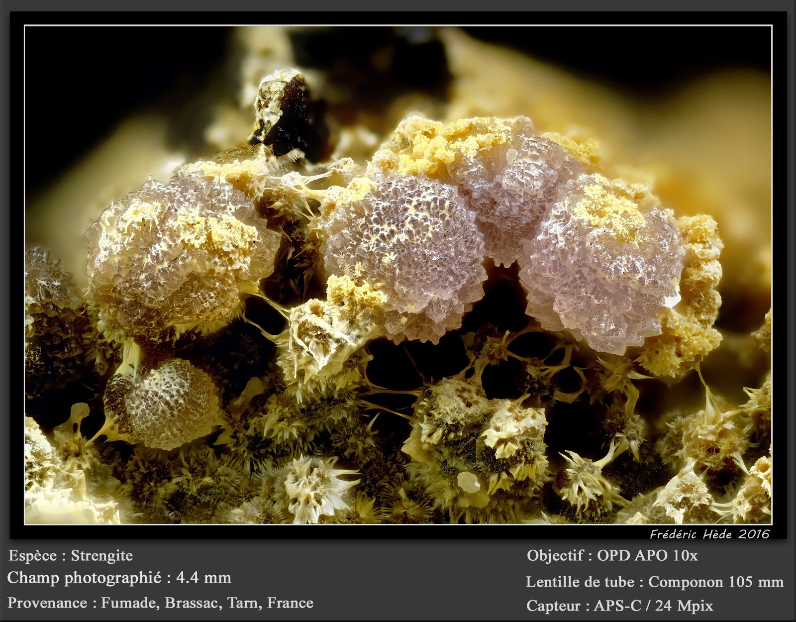 Strengite
fov 4.4 mm
(Autor: ploum)