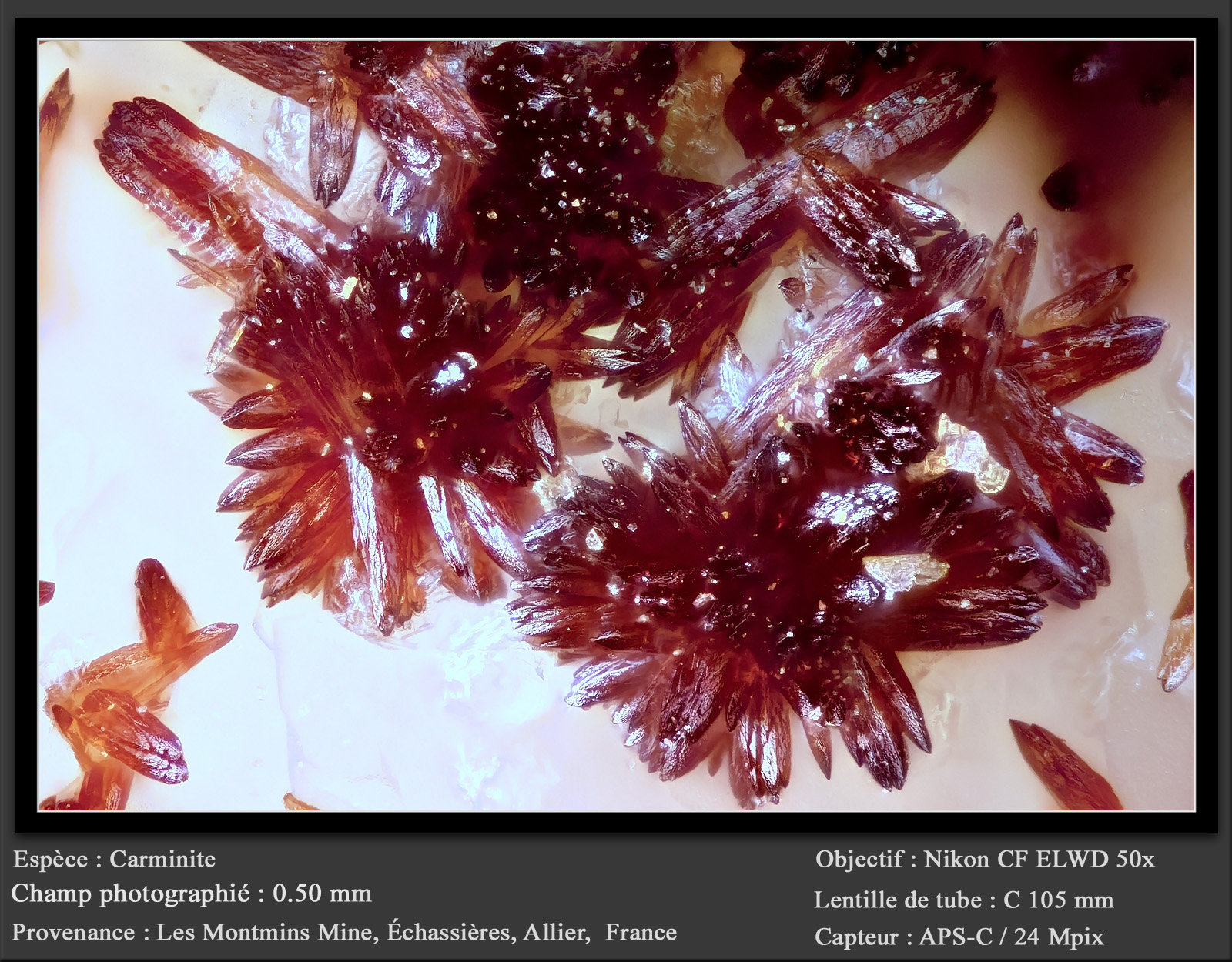 Carminite
fov 0.50 mm
(Autor: ploum)