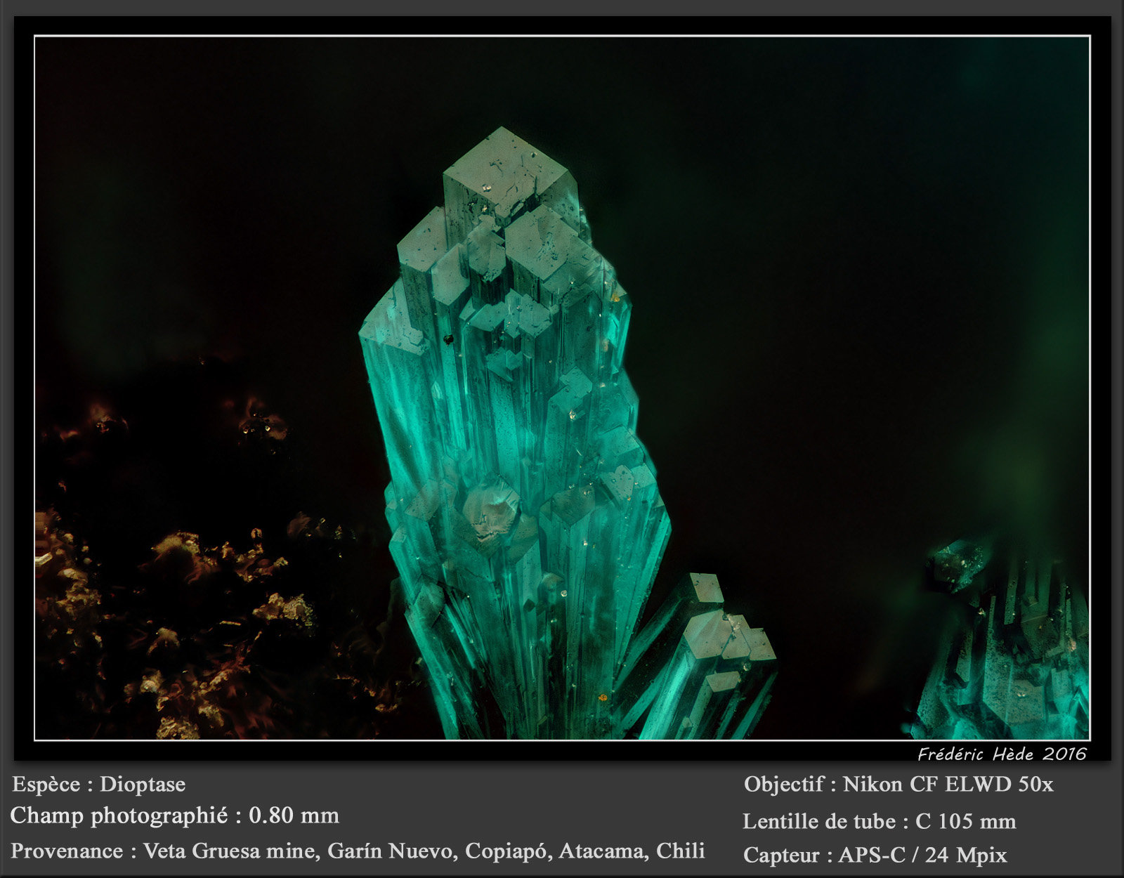Dioptase
fov 0.80 mm
(Autor: ploum)