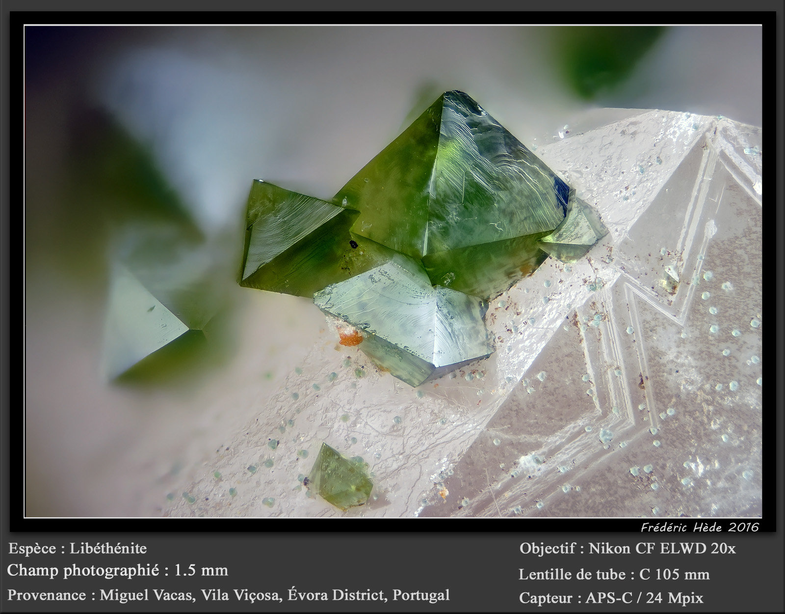 Libethenite and Turquoise
fov 2.0 mm
(Autor: ploum)